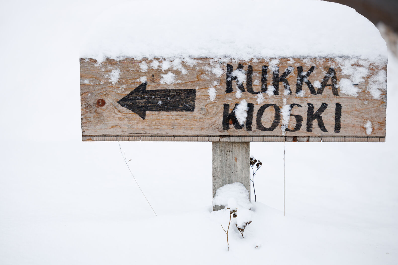 Canon EOS R6 II sample photo. Snow covered sign photography