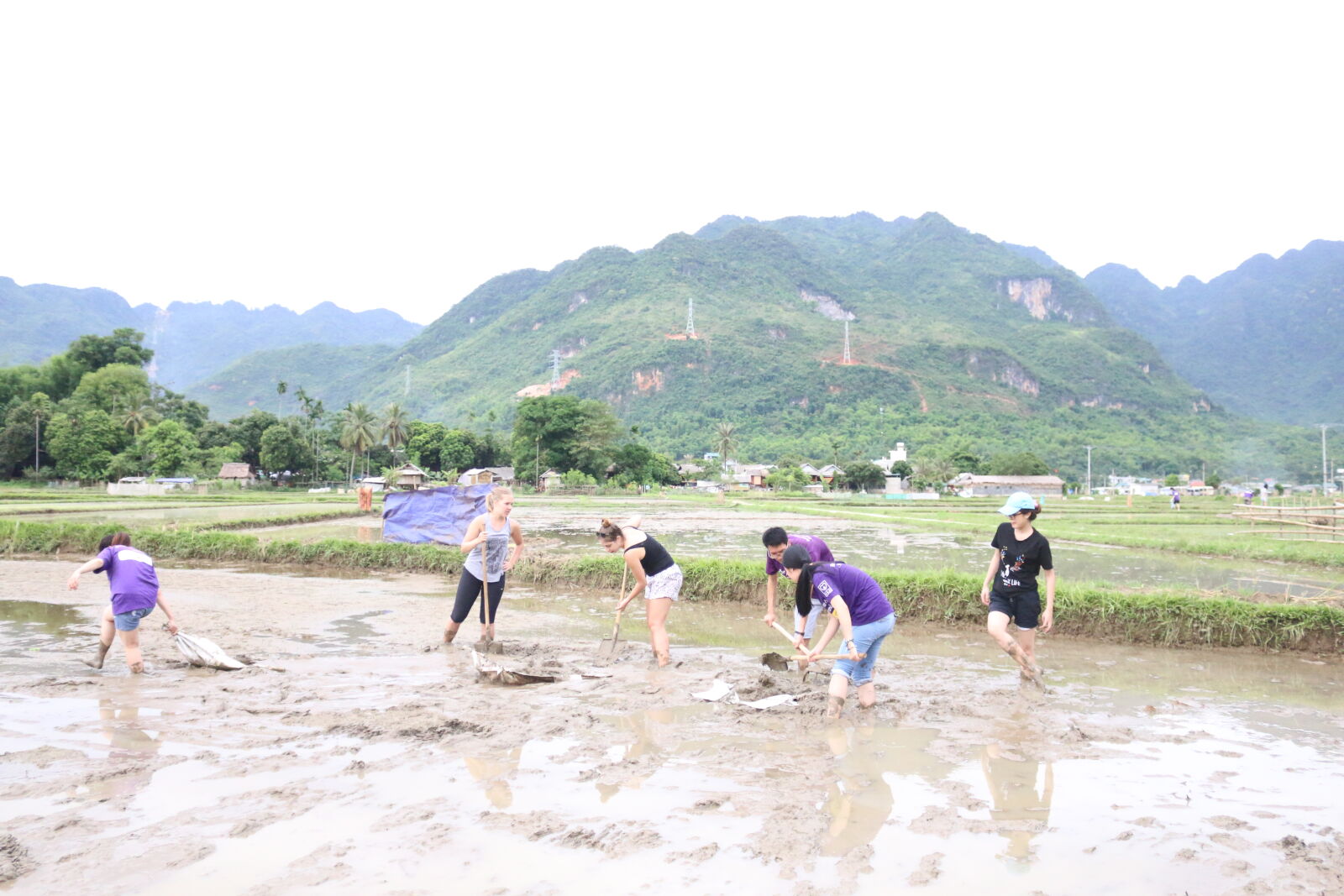 Canon EOS 70D sample photo