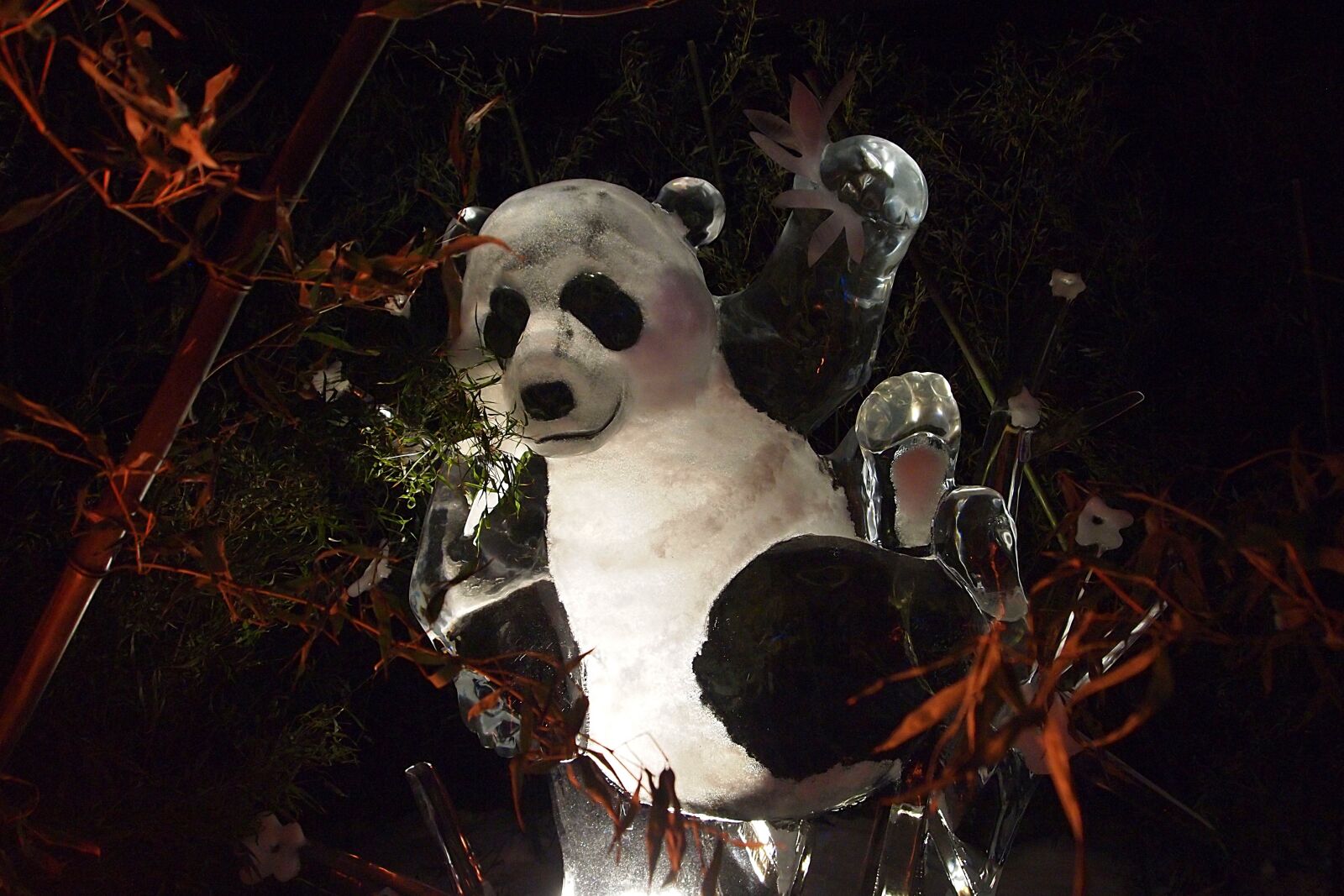 Olympus PEN E-PL1 sample photo. Panda, ice, ijsfiguur photography