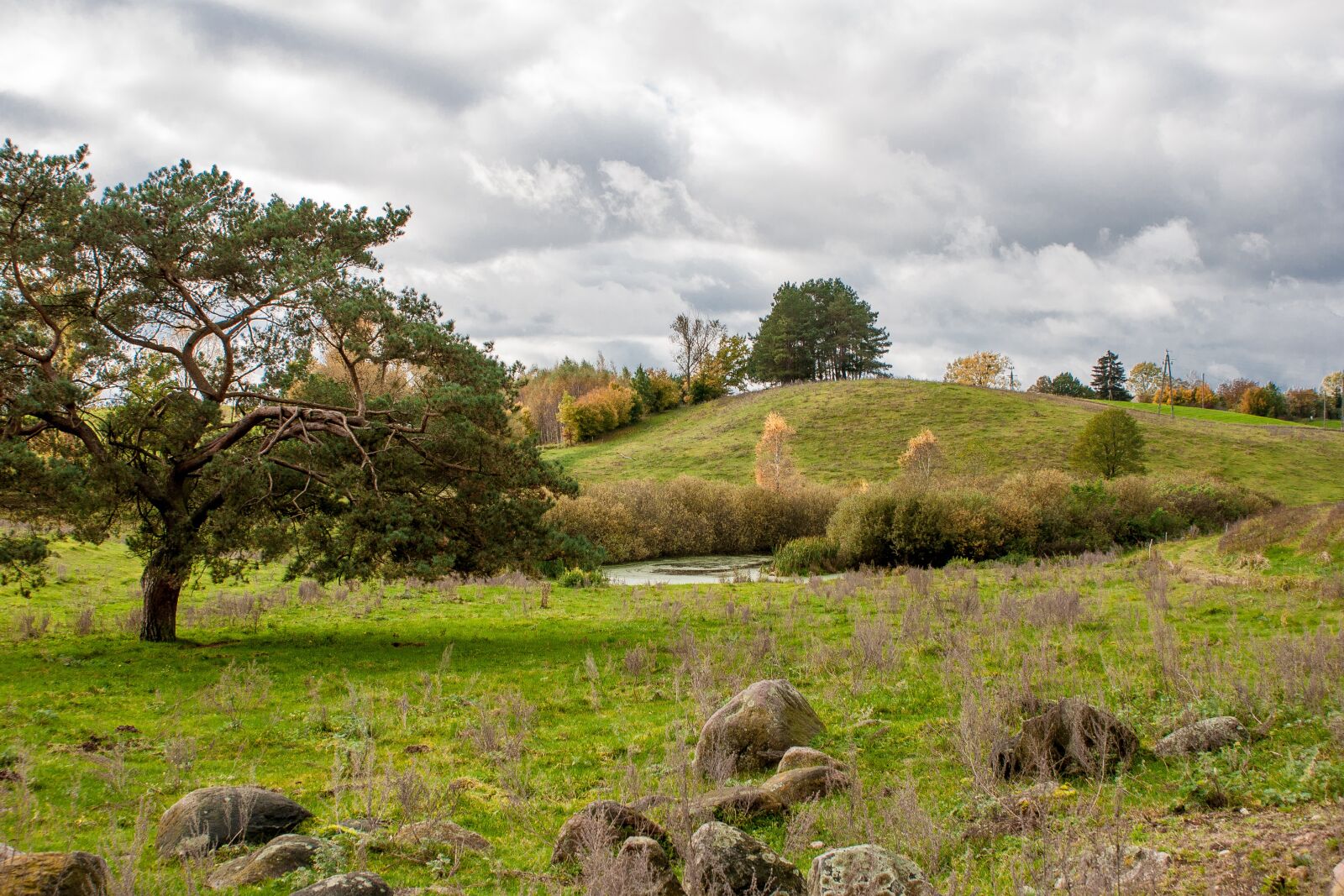 Sony Alpha DSLR-A700 + Sony DT 18-70mm F3.5-5.6 sample photo. Nature, landscape, tree photography