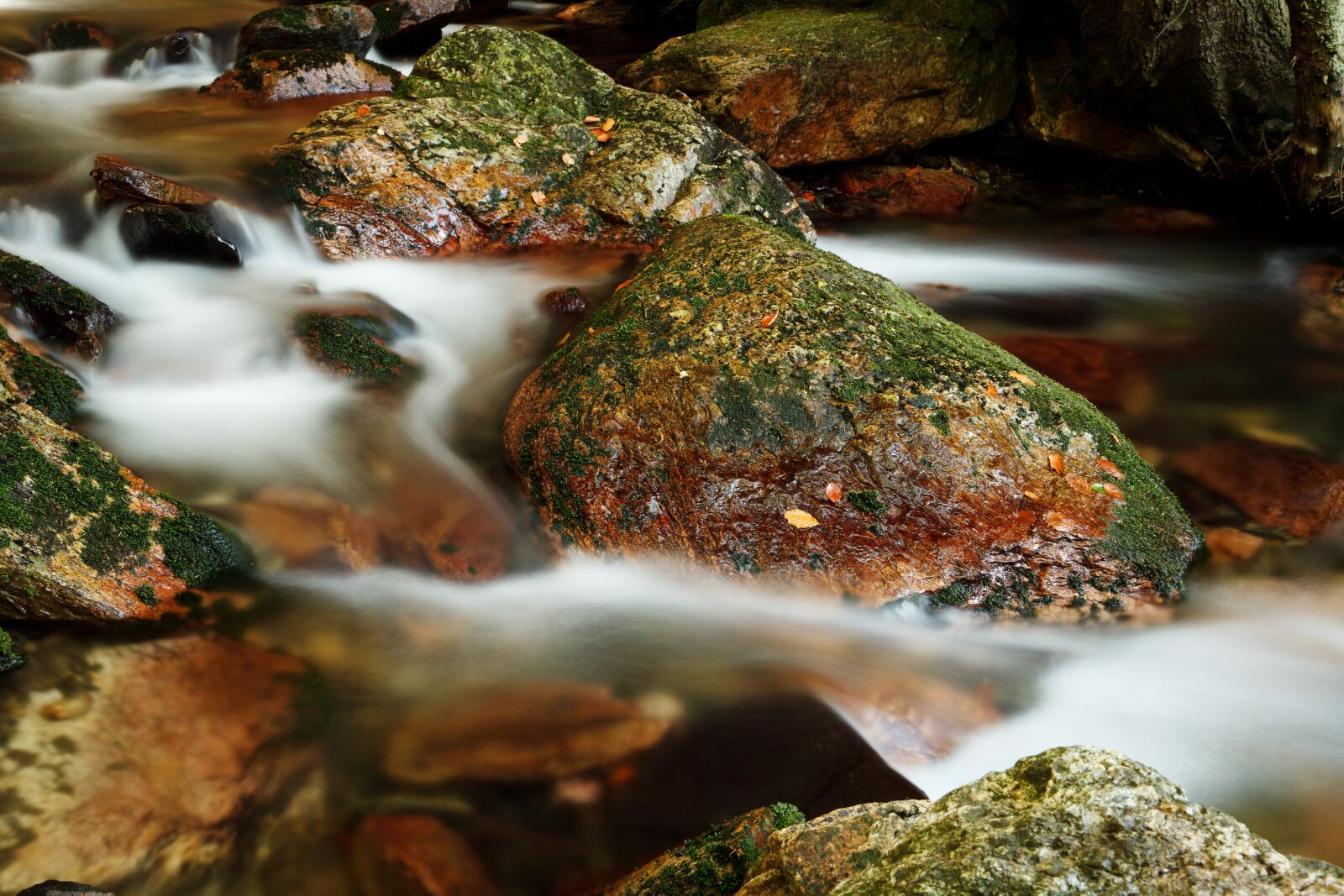 Canon EOS 5D Mark II sample photo. Brown, and, green, stone photography