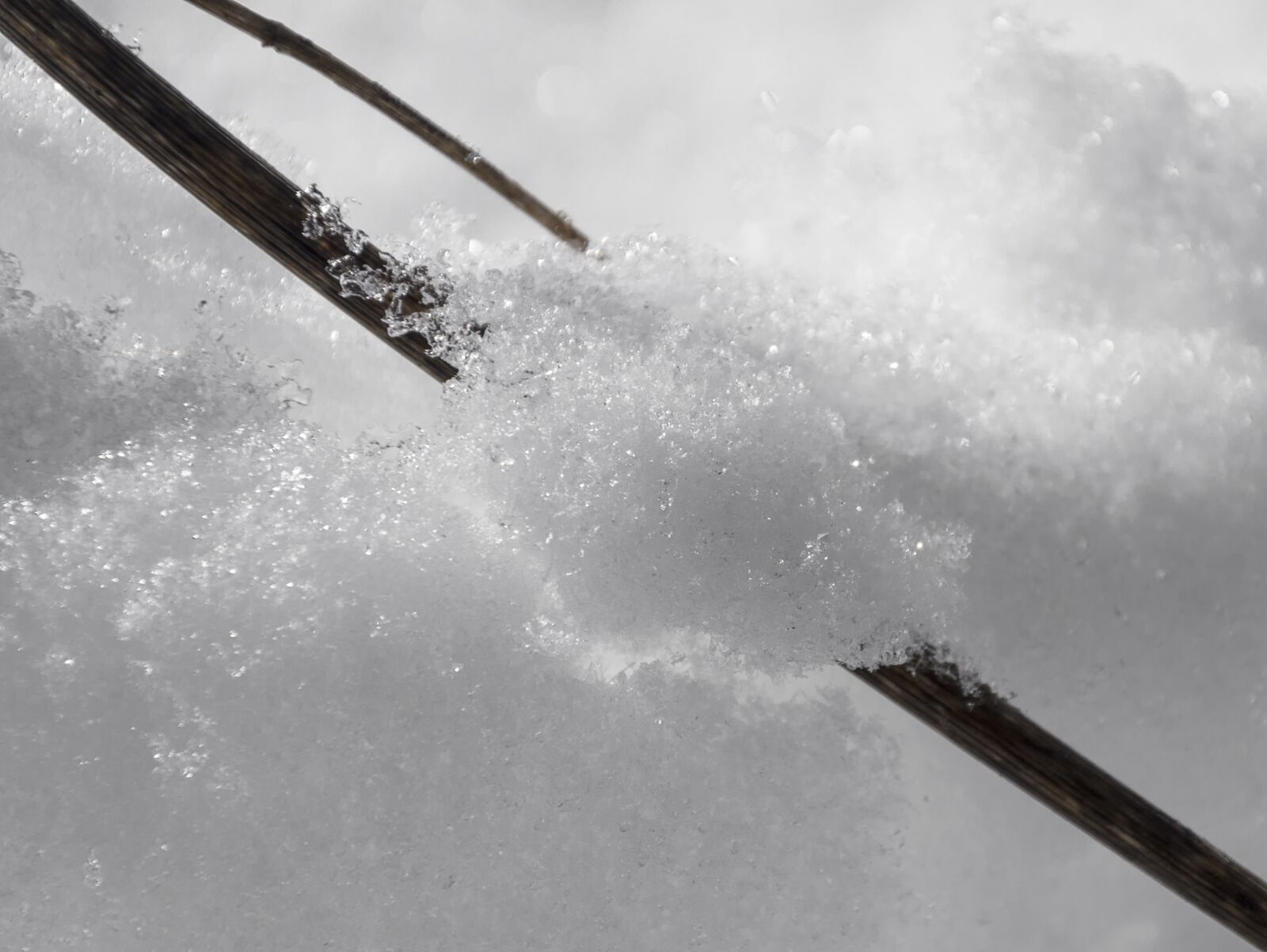 Nikon D7000 sample photo. Snow, nevada, winter photography