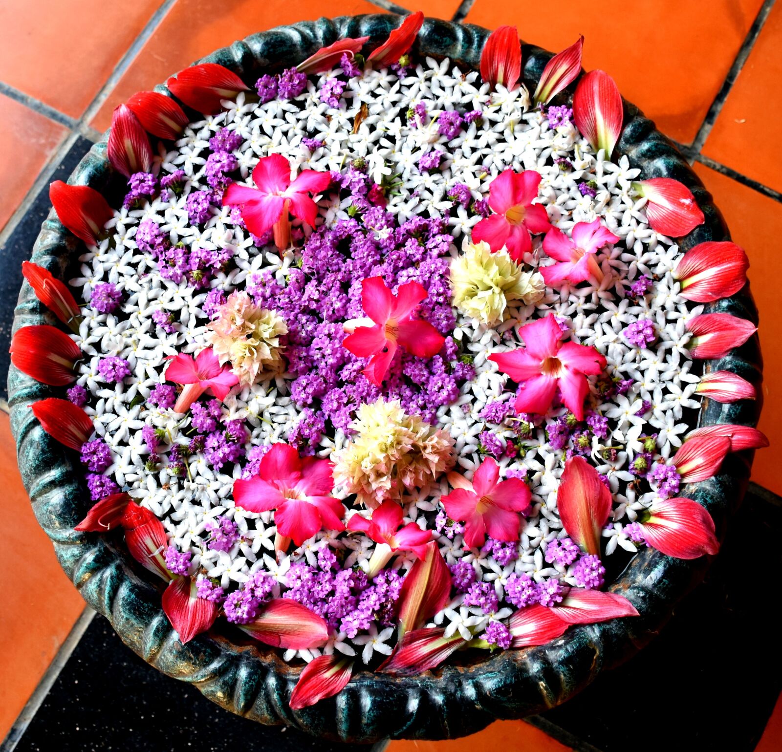 Nikon D5500 sample photo. Flower, rangoli, water photography