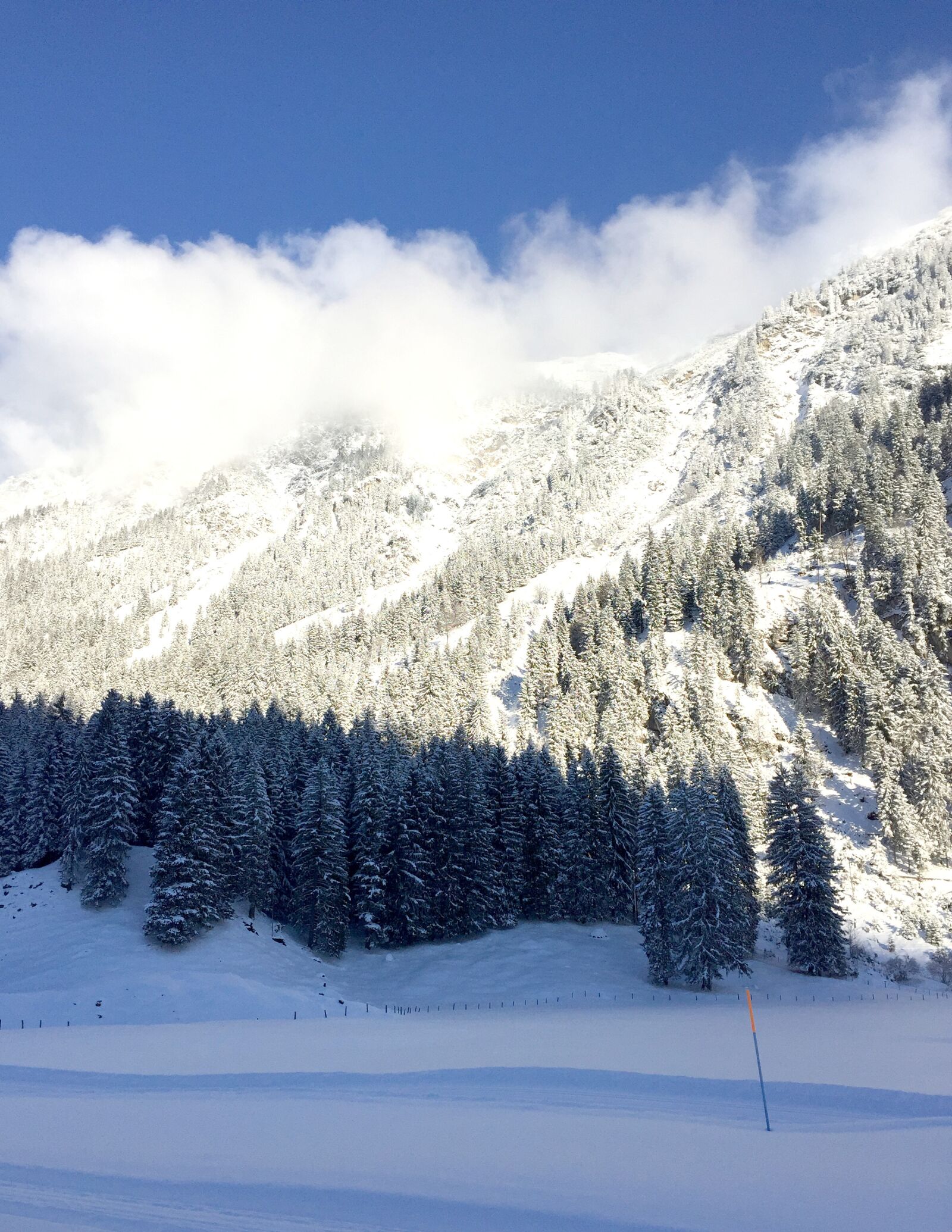 Apple iPhone 6 sample photo. Mountains, trees, panorama photography