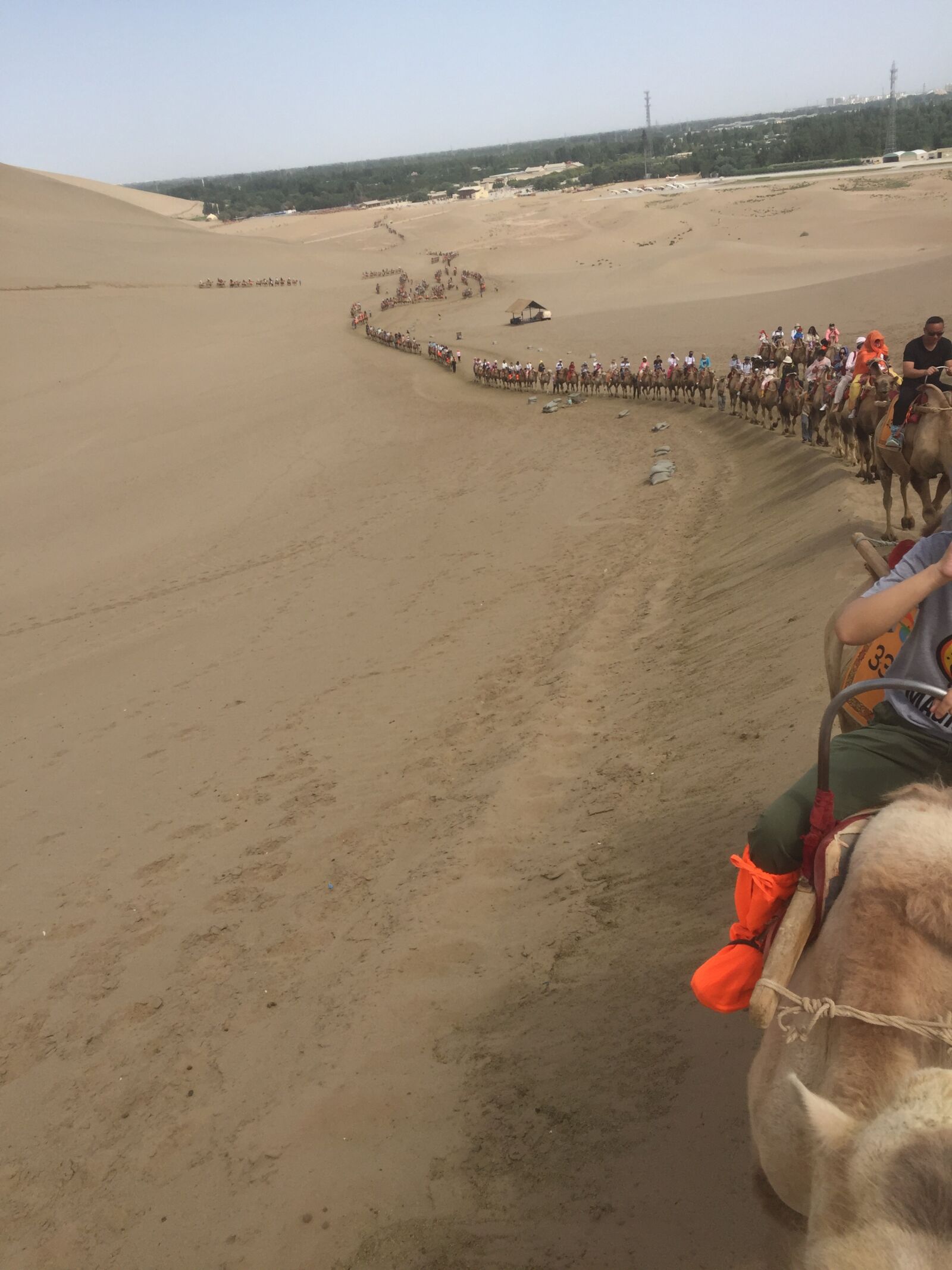 Apple iPhone 6 sample photo. Natural, desert, mingsha photography