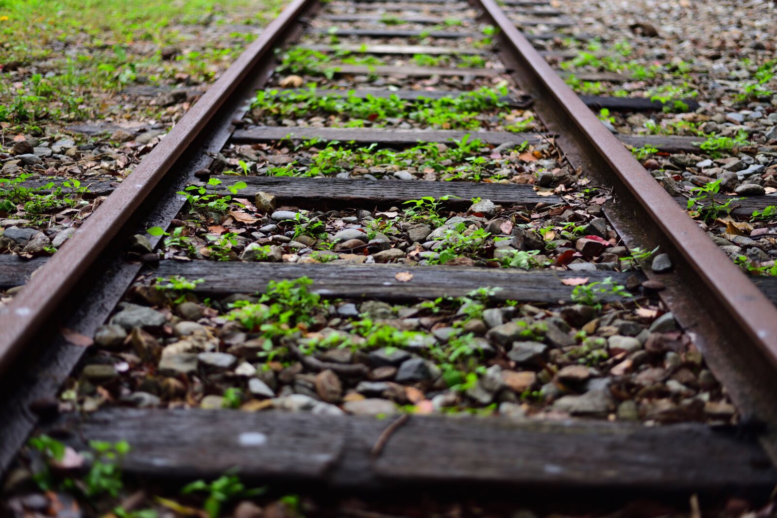 Nikon D750 sample photo. Rail, railway, tracks photography