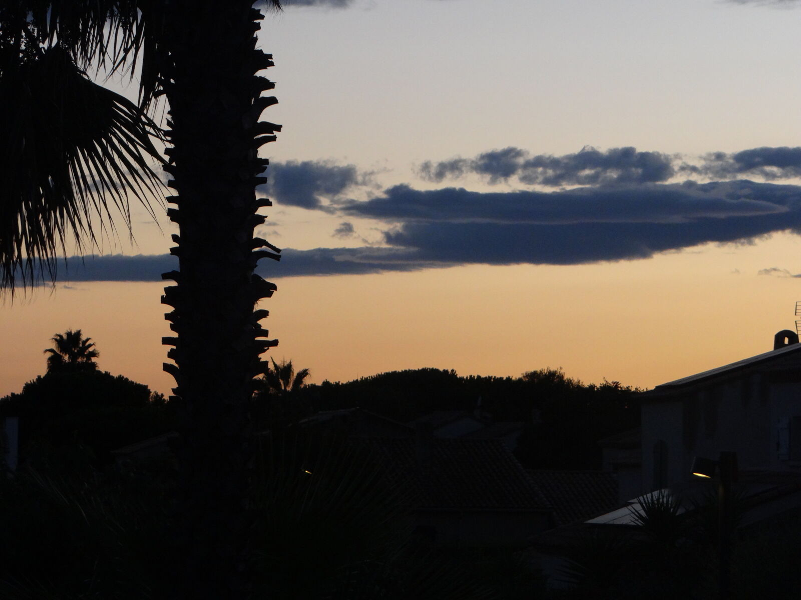 Sony DSC-HX200V sample photo