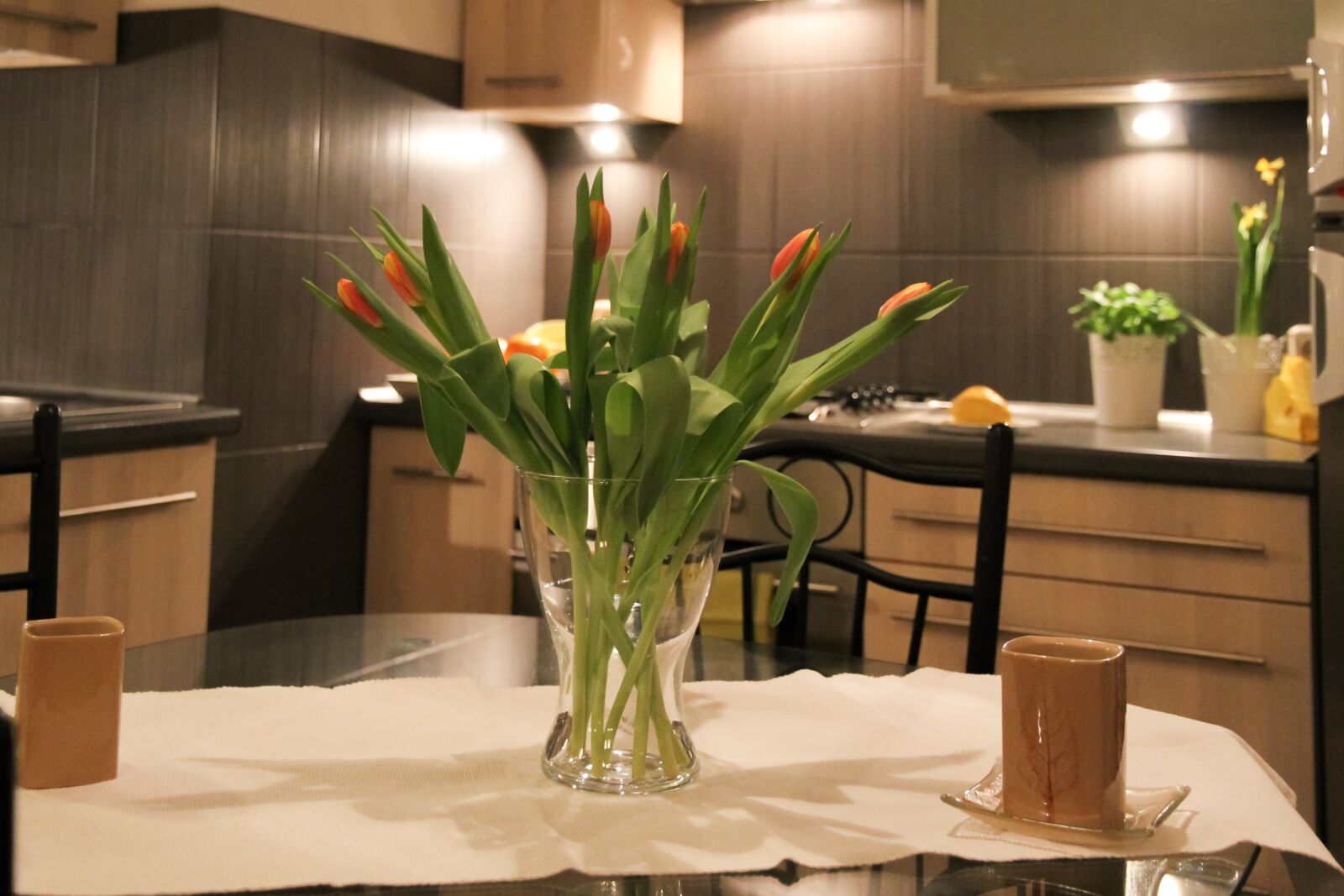Canon EOS 7D sample photo. Apartment, flowers, tulips photography