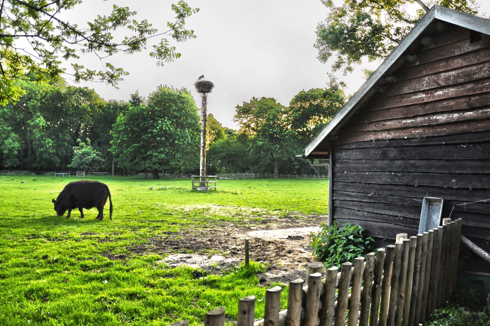 Nikon D90 sample photo. Barn, cowshed, cattle photography