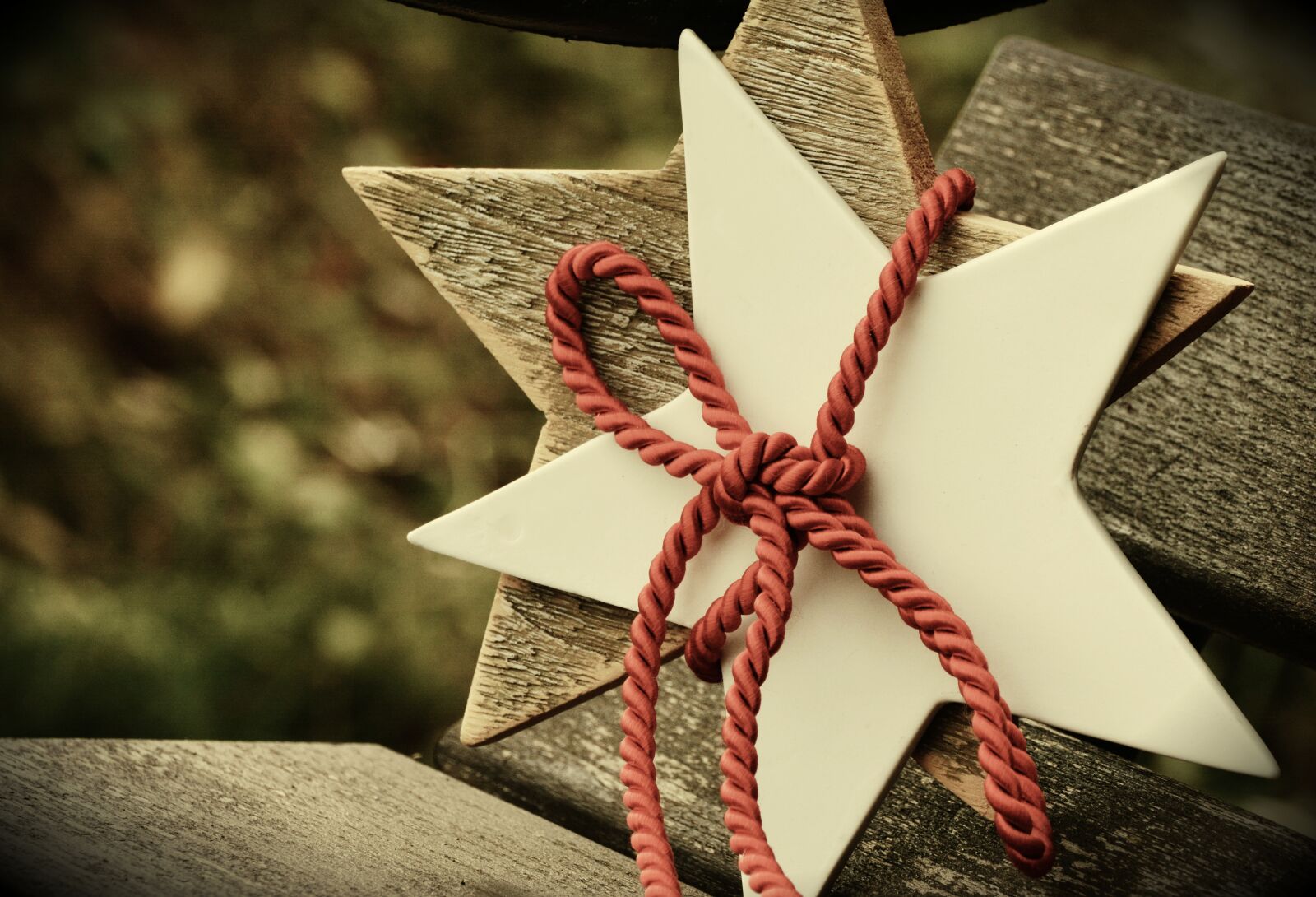 Nikon D5200 sample photo. Poinsettia, star, christmas photography