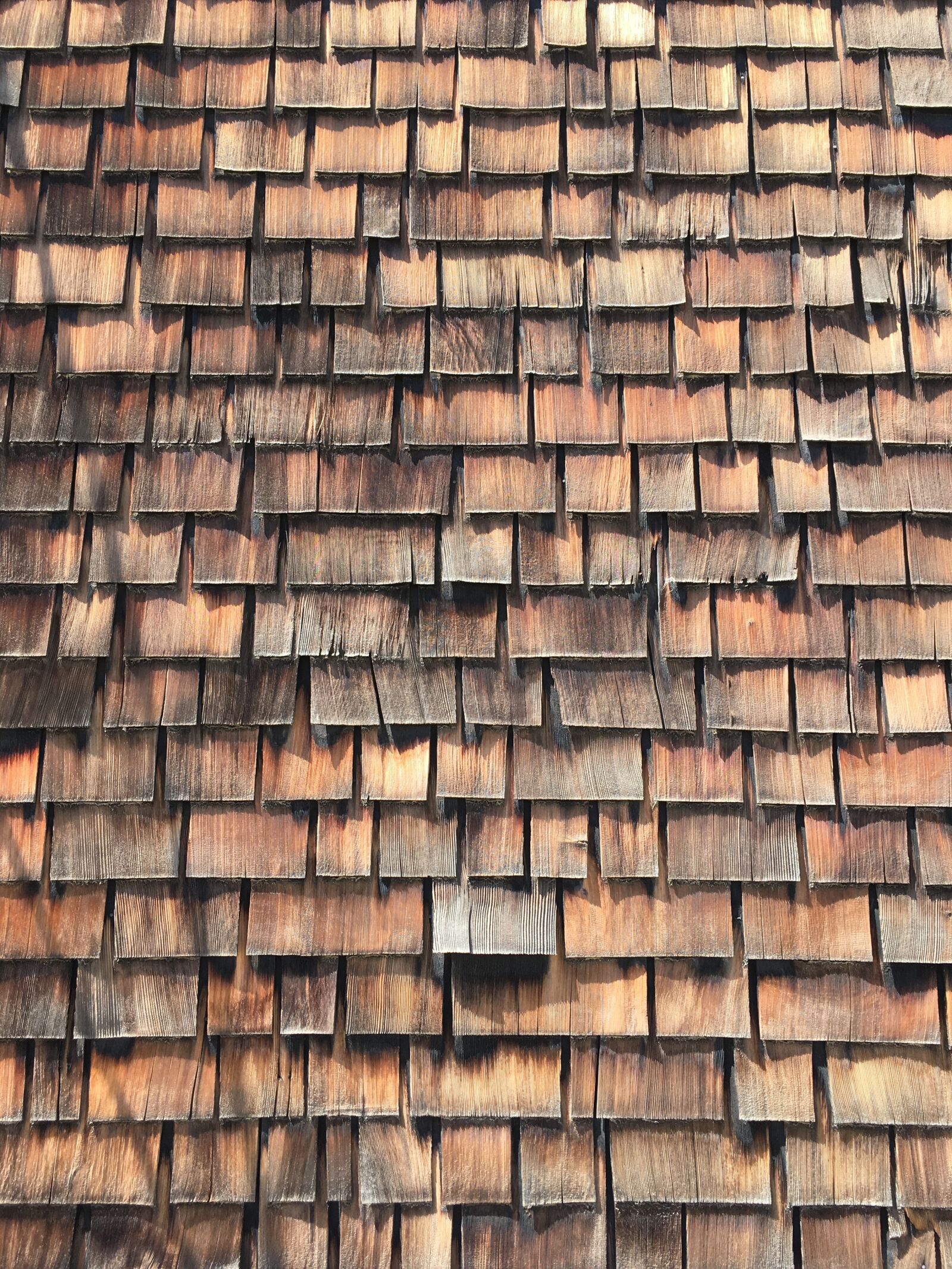 iPhone SE back camera 4.15mm f/2.2 sample photo. Wood shingles, wood, roof photography