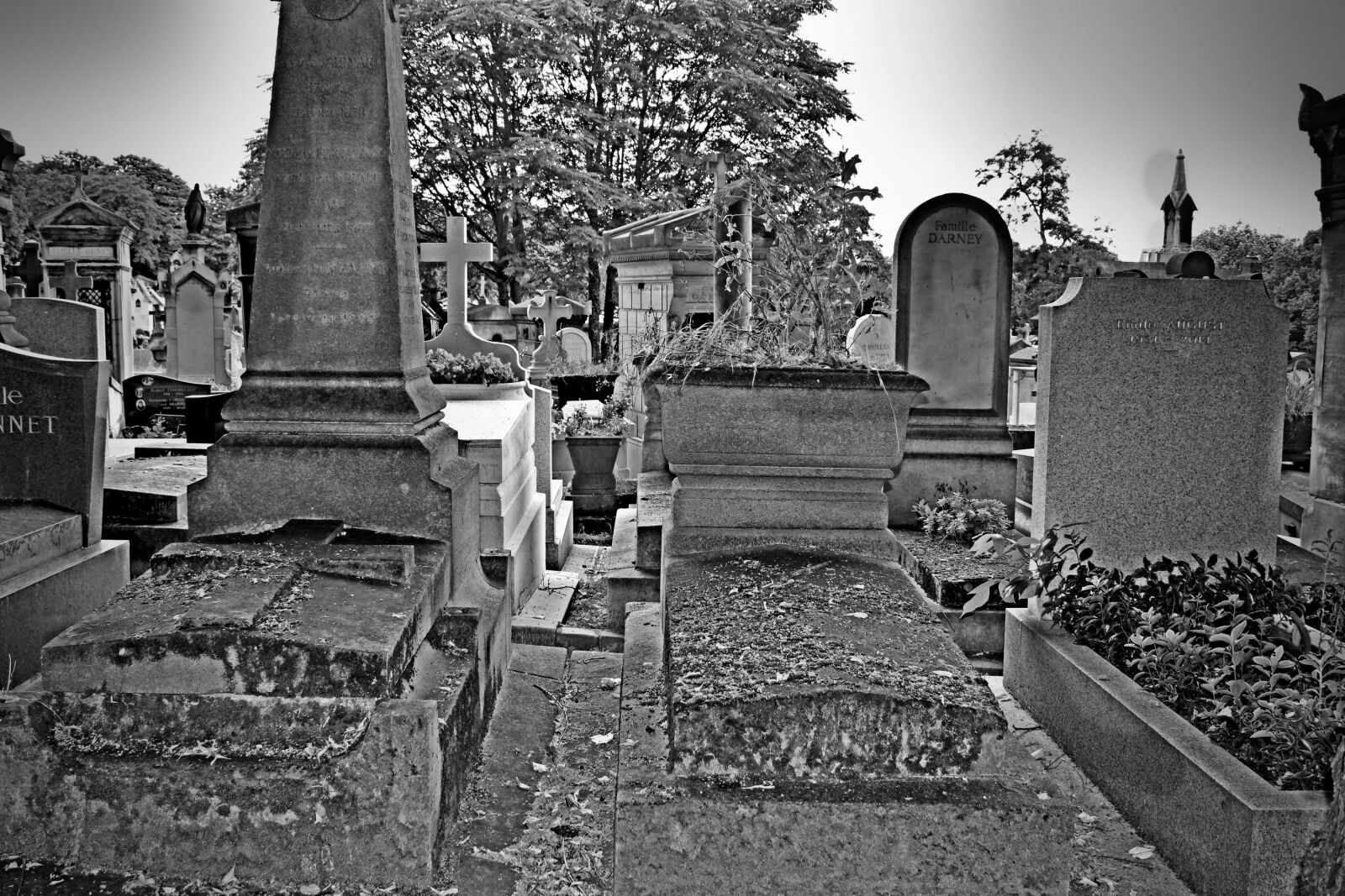 Canon EOS 1200D (EOS Rebel T5 / EOS Kiss X70 / EOS Hi) sample photo. Cemetery, paris, pere-lachaise photography