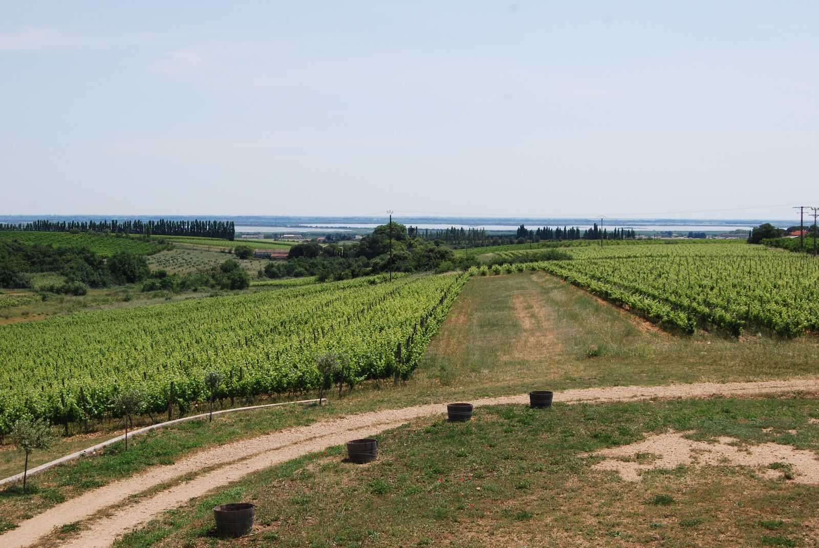 Nikon D40X sample photo. Vineyards, wine, france photography