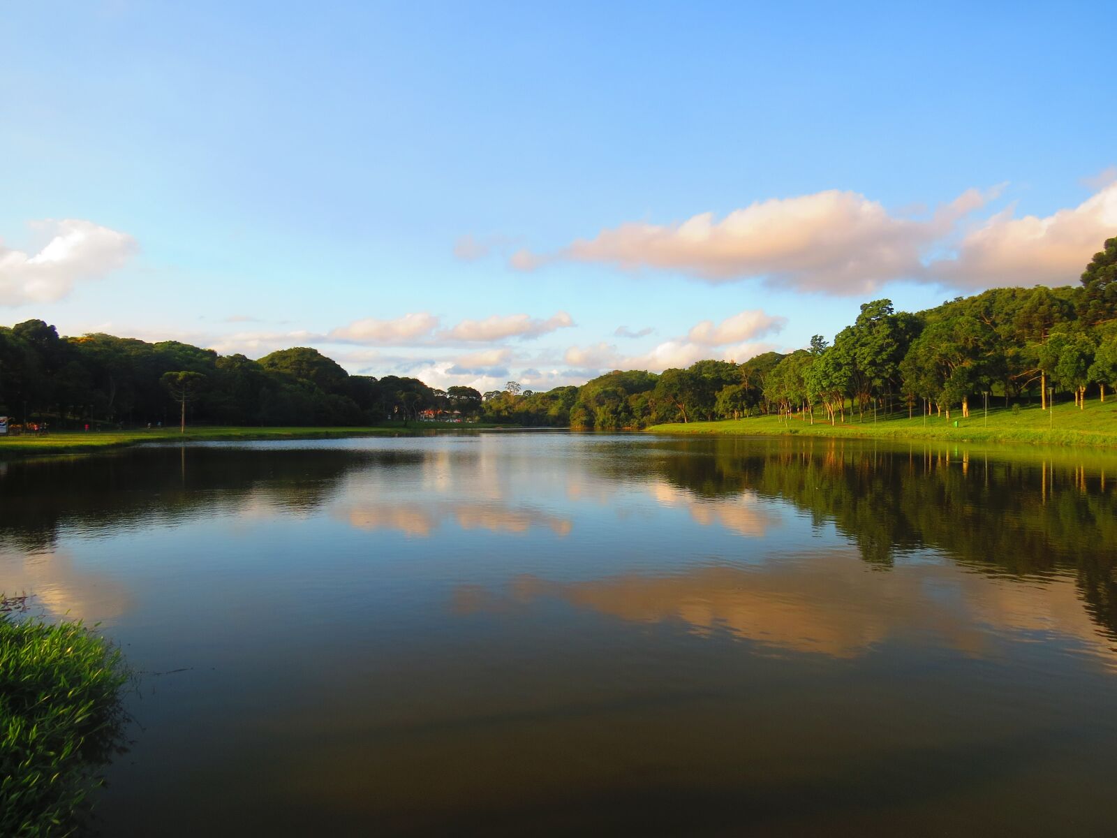 Canon PowerShot SX50 HS sample photo. Brazil, barigui park, curitiba photography
