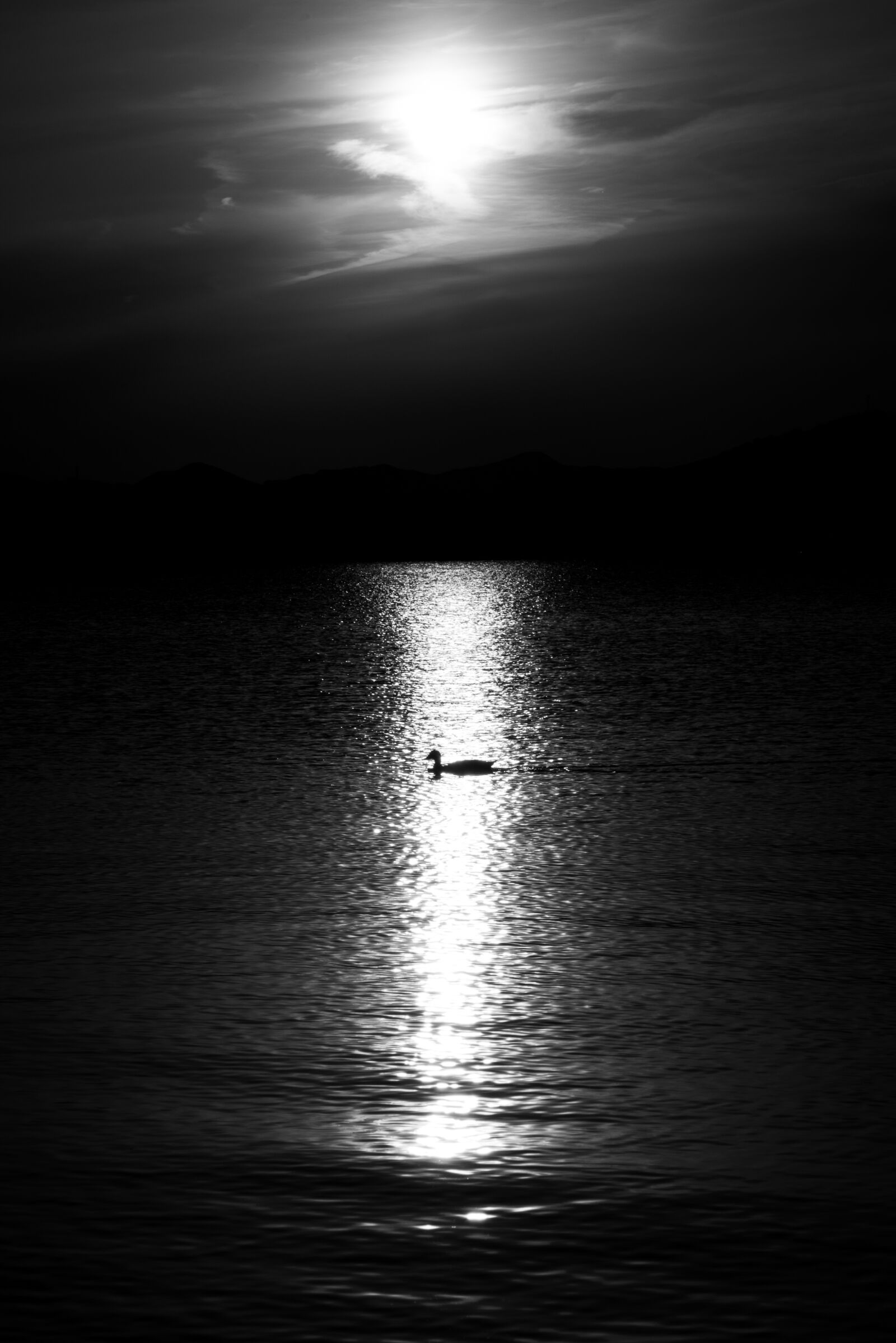 Nikon D750 sample photo. Alone, light, shadow photography