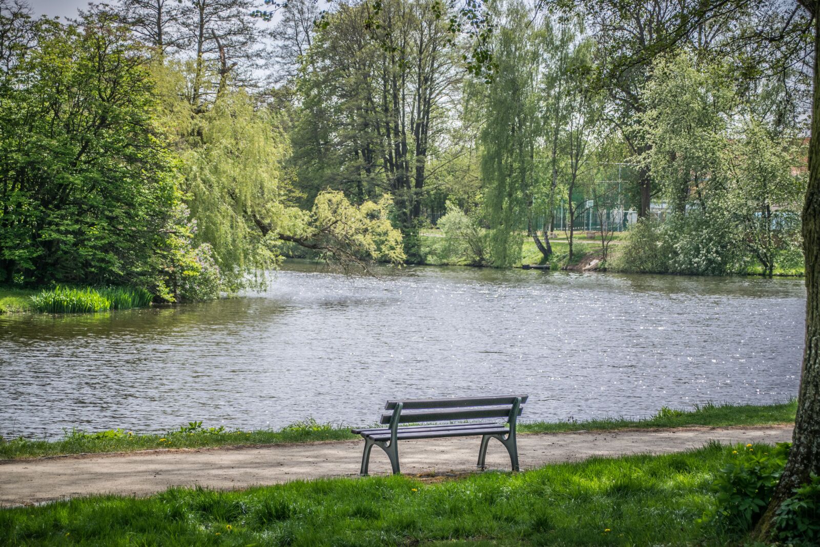 Nikon D5300 sample photo. Lake, peace, water photography
