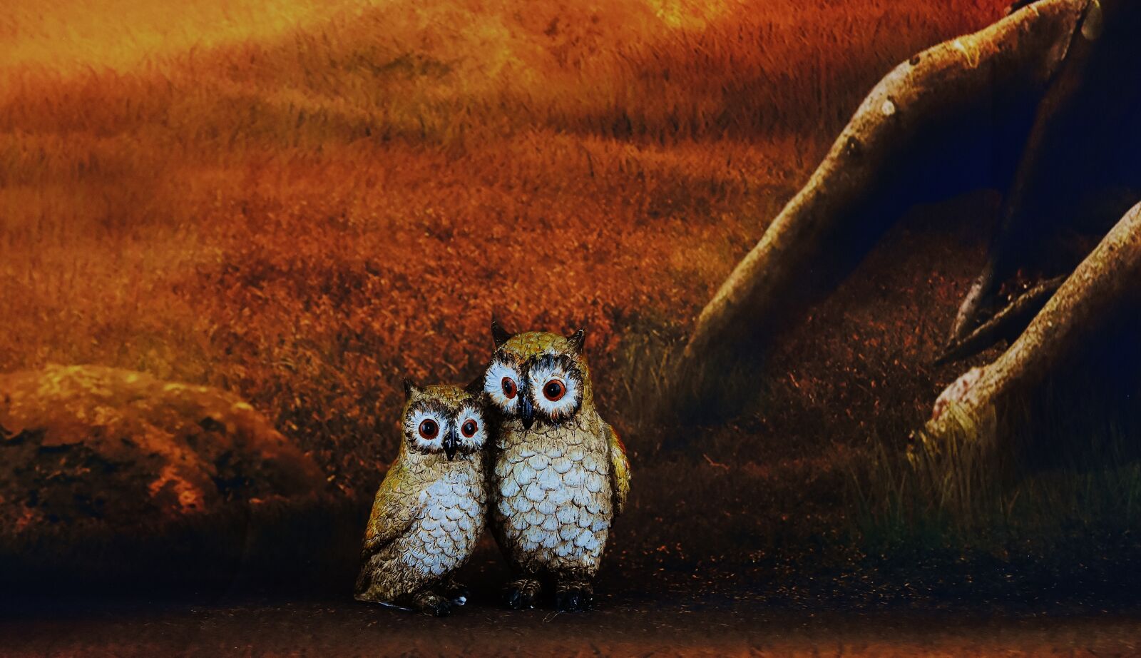 Nikon D7200 sample photo. Owls, pair, forest photography