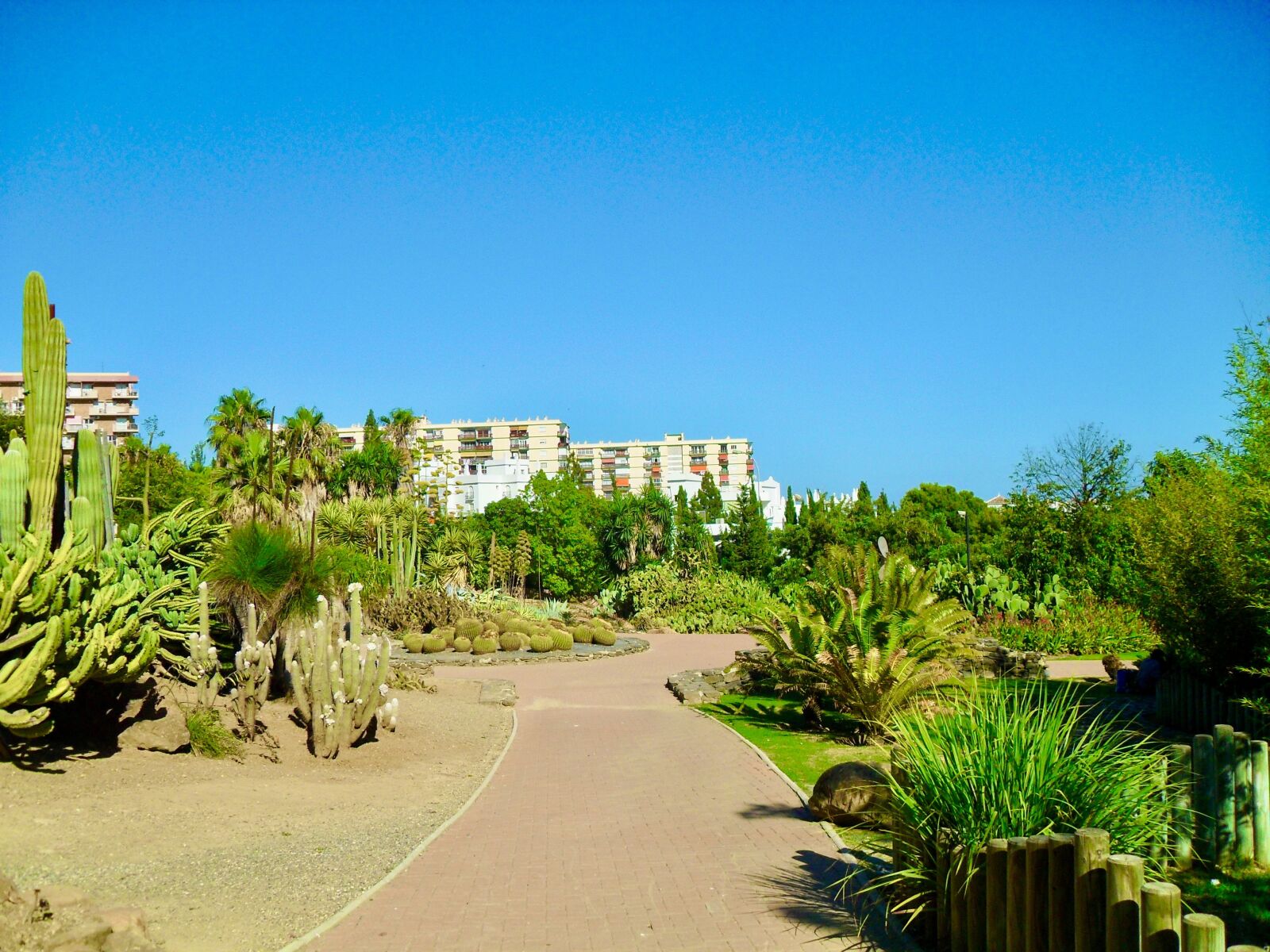 Samsung PL51 / VLUU PL51 /  SL203 sample photo. Plants, park, benalmadena photography