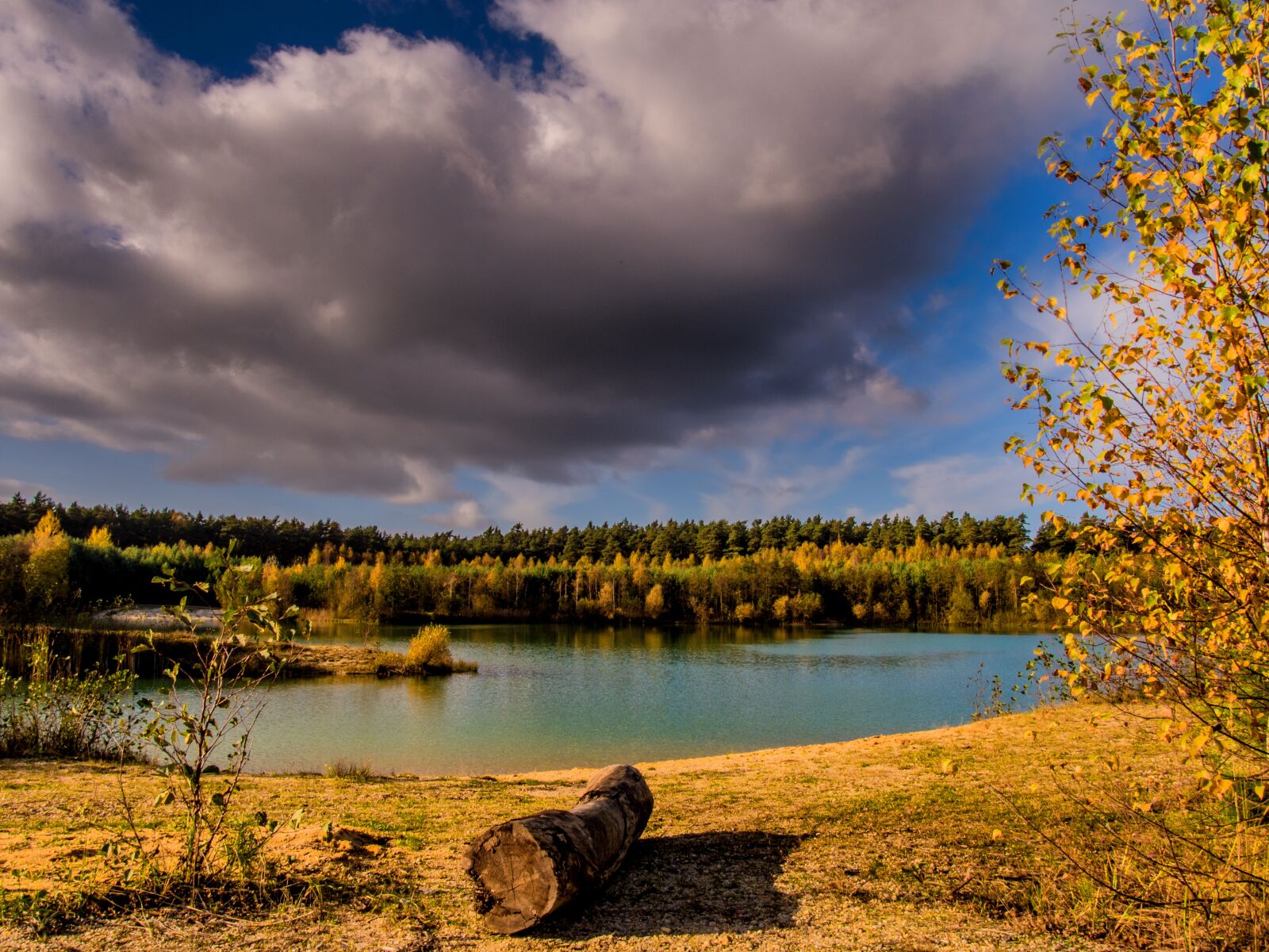 Olympus PEN E-PL7 sample photo. Landscape, water, tree photography