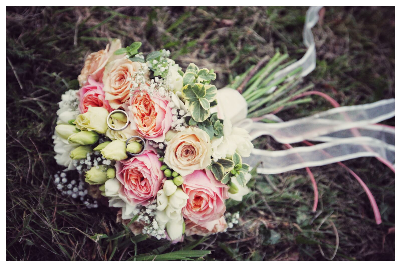 Canon EOS 600D (Rebel EOS T3i / EOS Kiss X5) sample photo. Wedding, flowers, bouquet photography