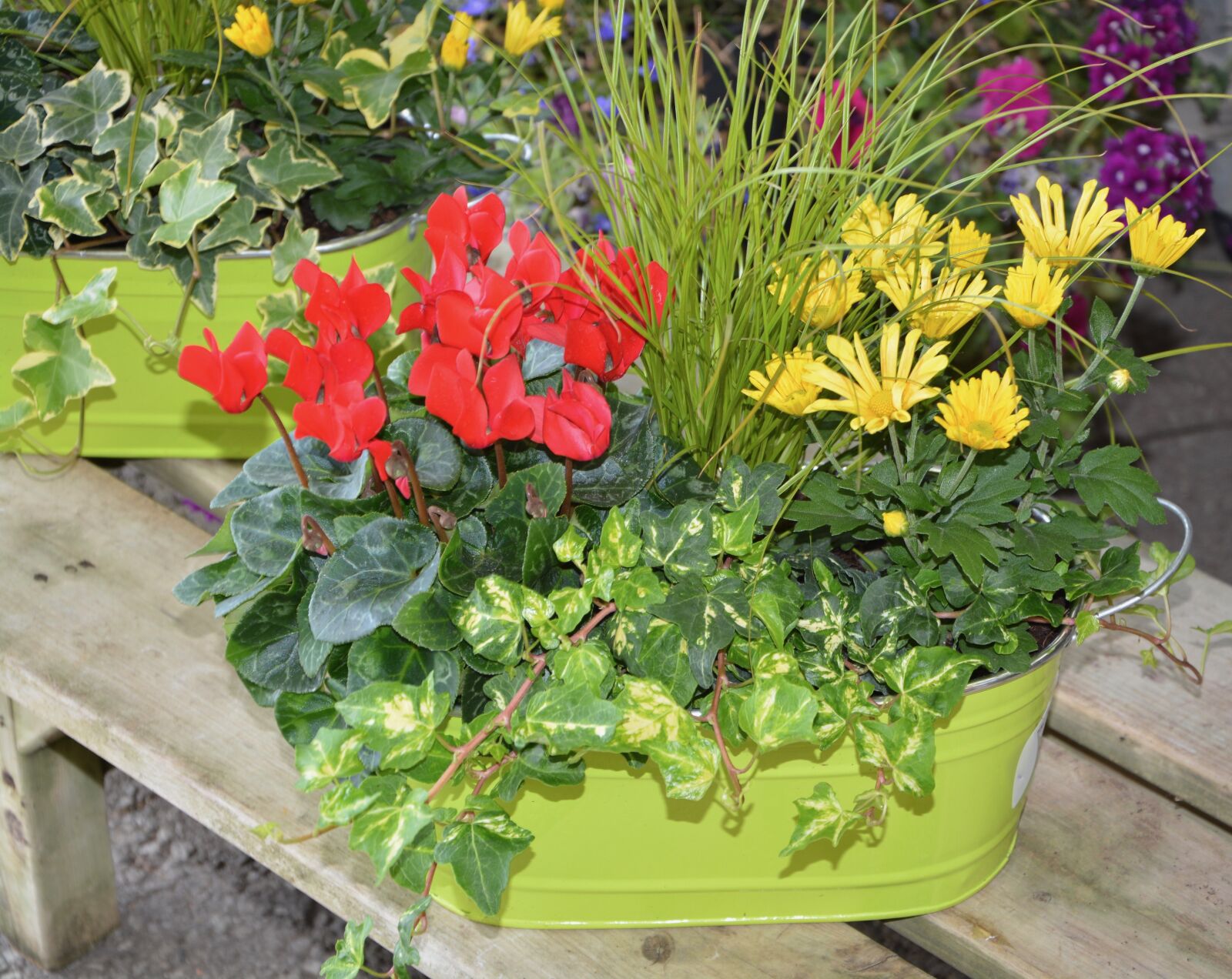 Nikon D5200 sample photo. Flowers, plants, floral composition photography