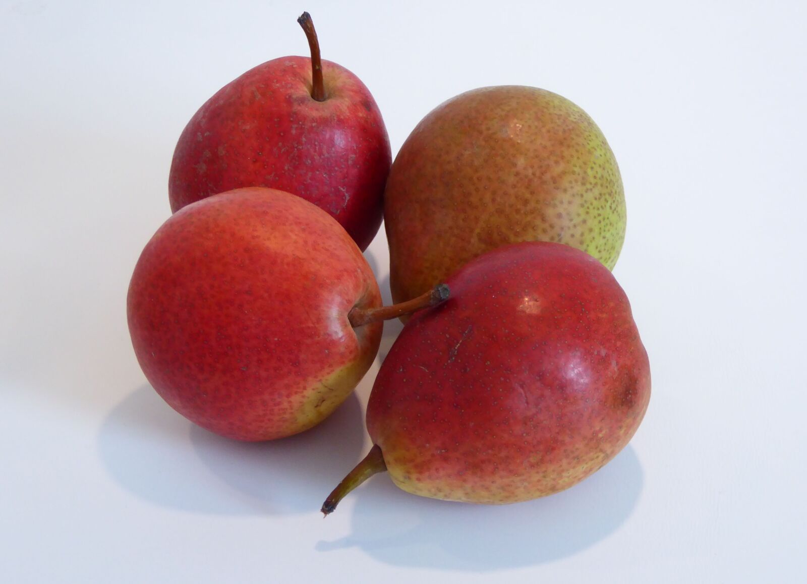 Panasonic DMC-TZ61 sample photo. Fruit, pears, fruits photography
