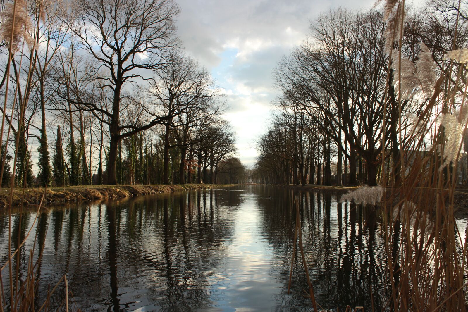 Canon EOS 600D (Rebel EOS T3i / EOS Kiss X5) sample photo. Water, landscape, waters photography
