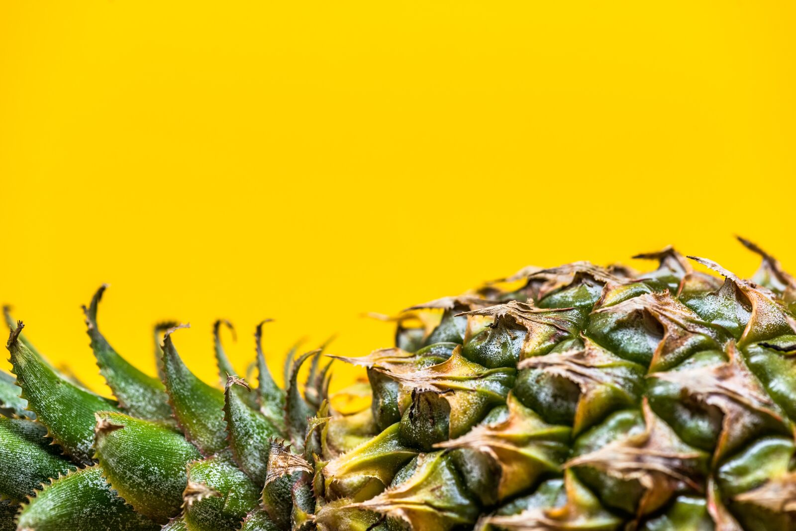 Nikon D800 sample photo. Pineapple, raw, sweet photography