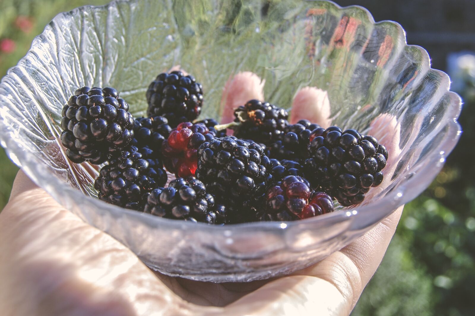 Nikon D40 sample photo. Fruit, food, berry photography
