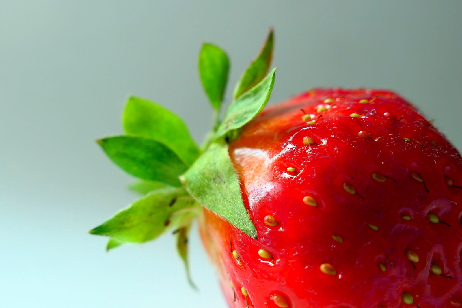 Panasonic Lumix DMC-LX10 (Lumix DMC-LX15) sample photo. Strawberry, fruit, fruits photography