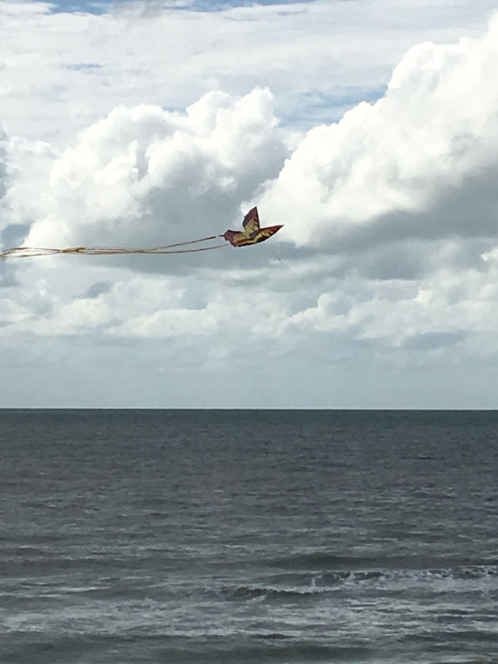 iPhone 6s Plus back camera 4.15mm f/2.2 sample photo. Kite flying, cloudy, beach photography