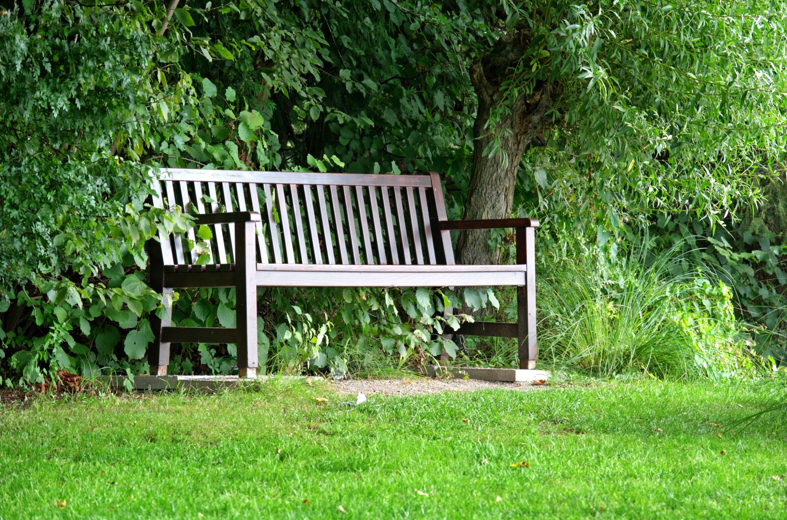 55.0-200.0mm f/4.0-f/5.6 sample photo. Bench, bank, seat photography