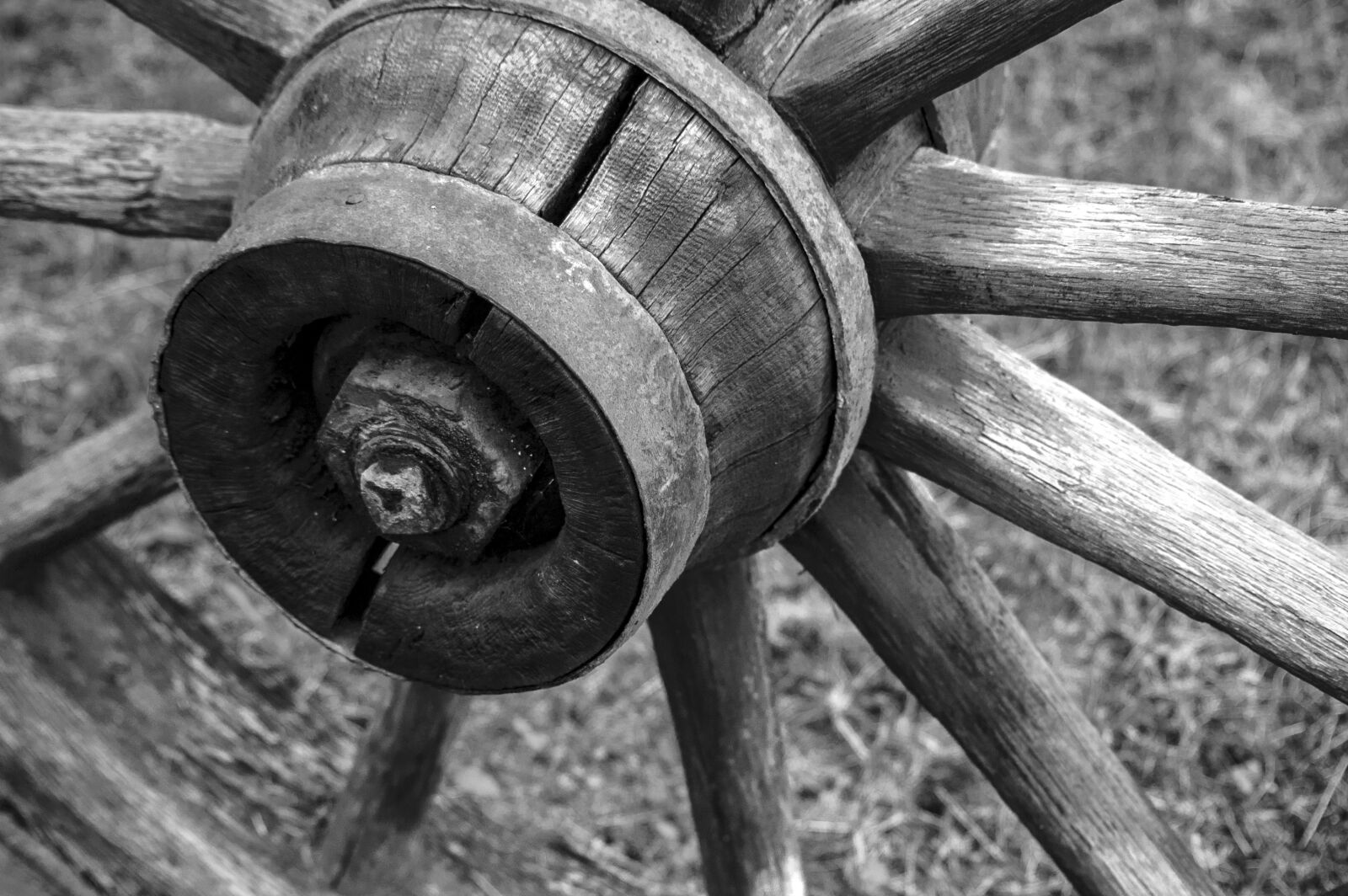 Nikon D50 sample photo. Wooden, wheel, wagon photography