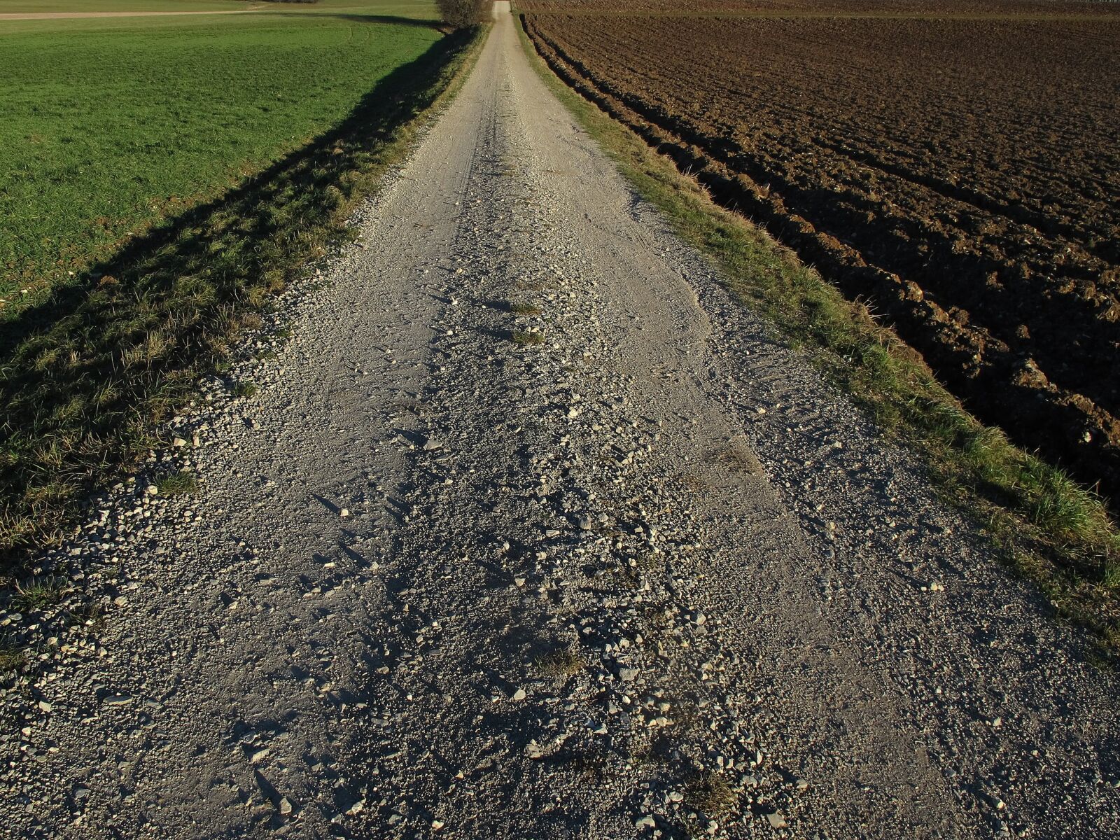 Canon PowerShot G12 sample photo. Lane, dirt track, evening photography