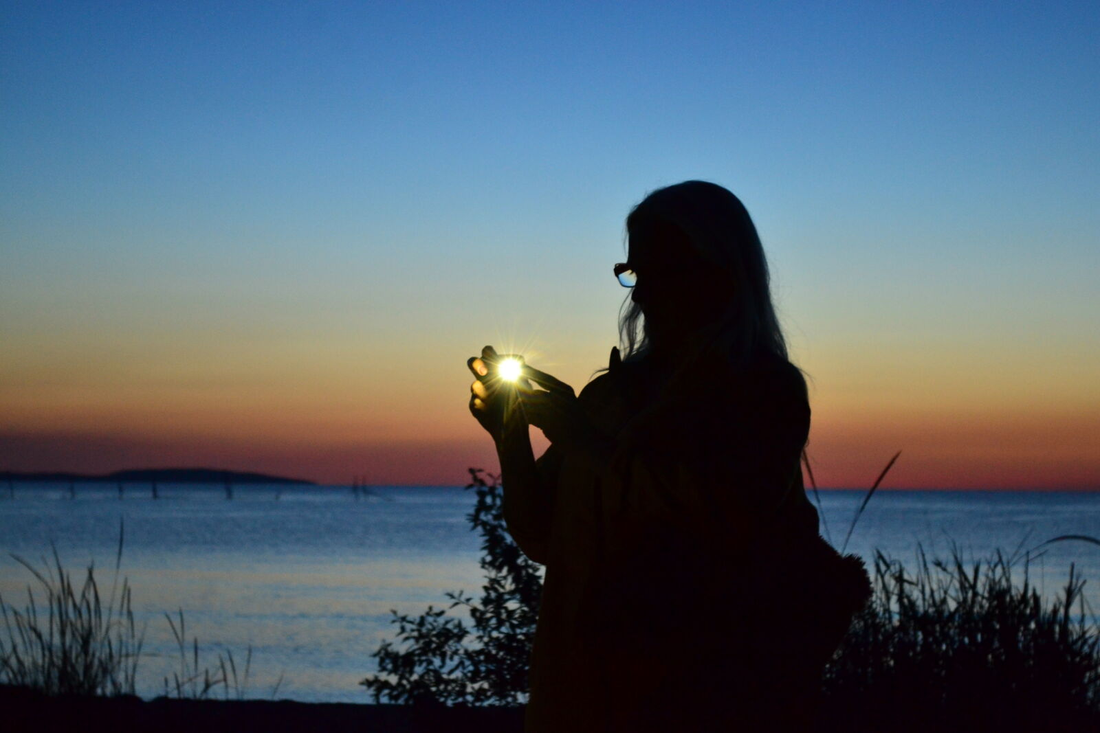 Nikon D3100 sample photo