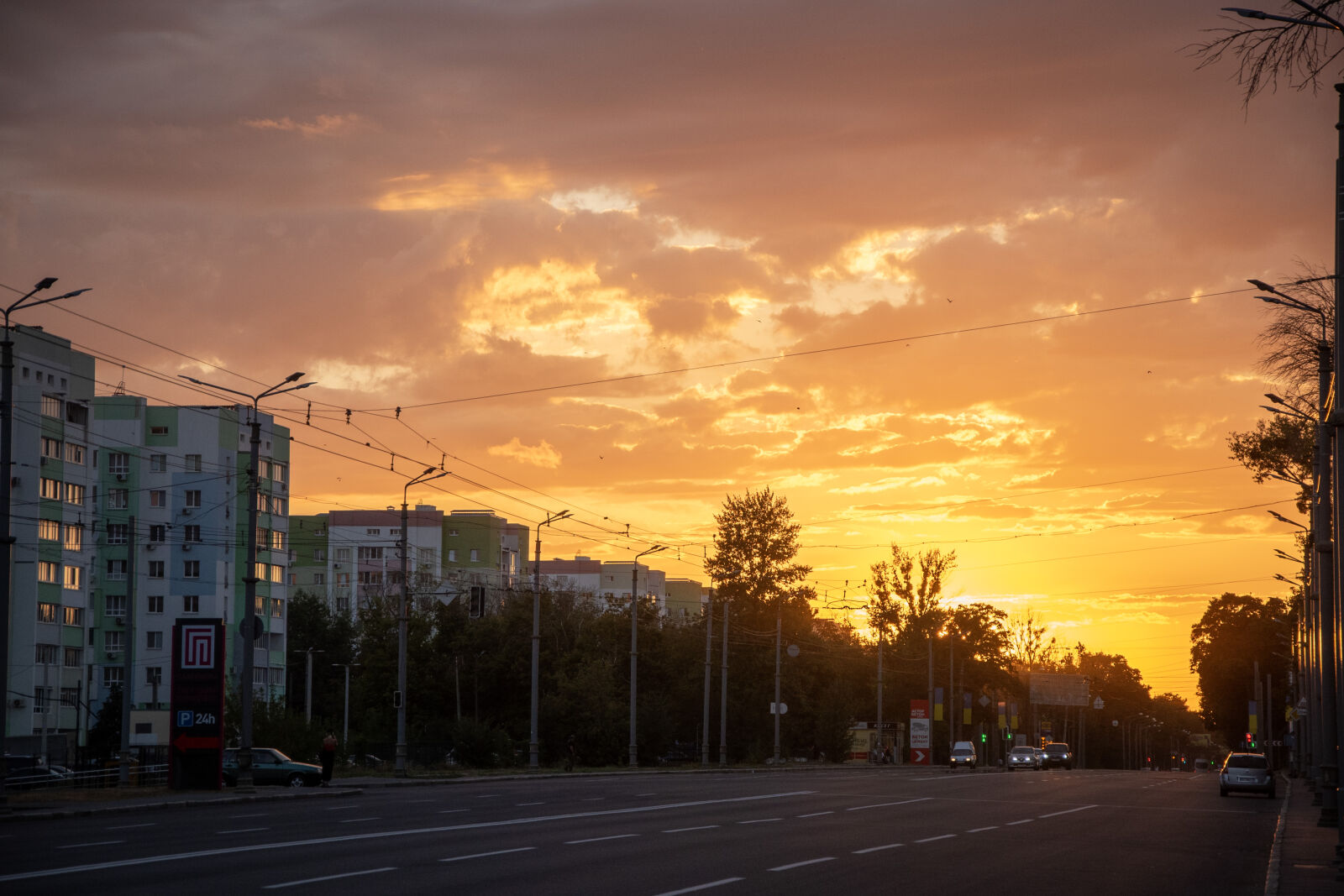 Nikon D750 sample photo