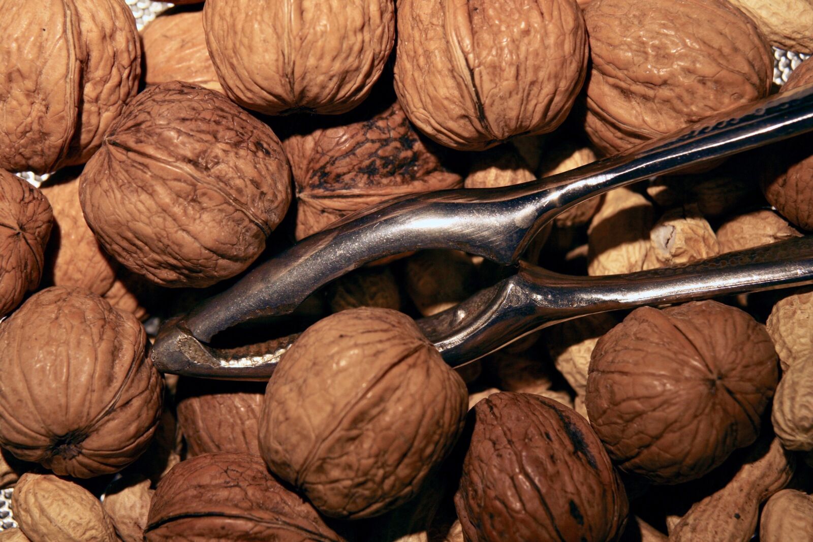 Canon EOS 400D (EOS Digital Rebel XTi / EOS Kiss Digital X) sample photo. Nuts, walnuts, nutcracker photography