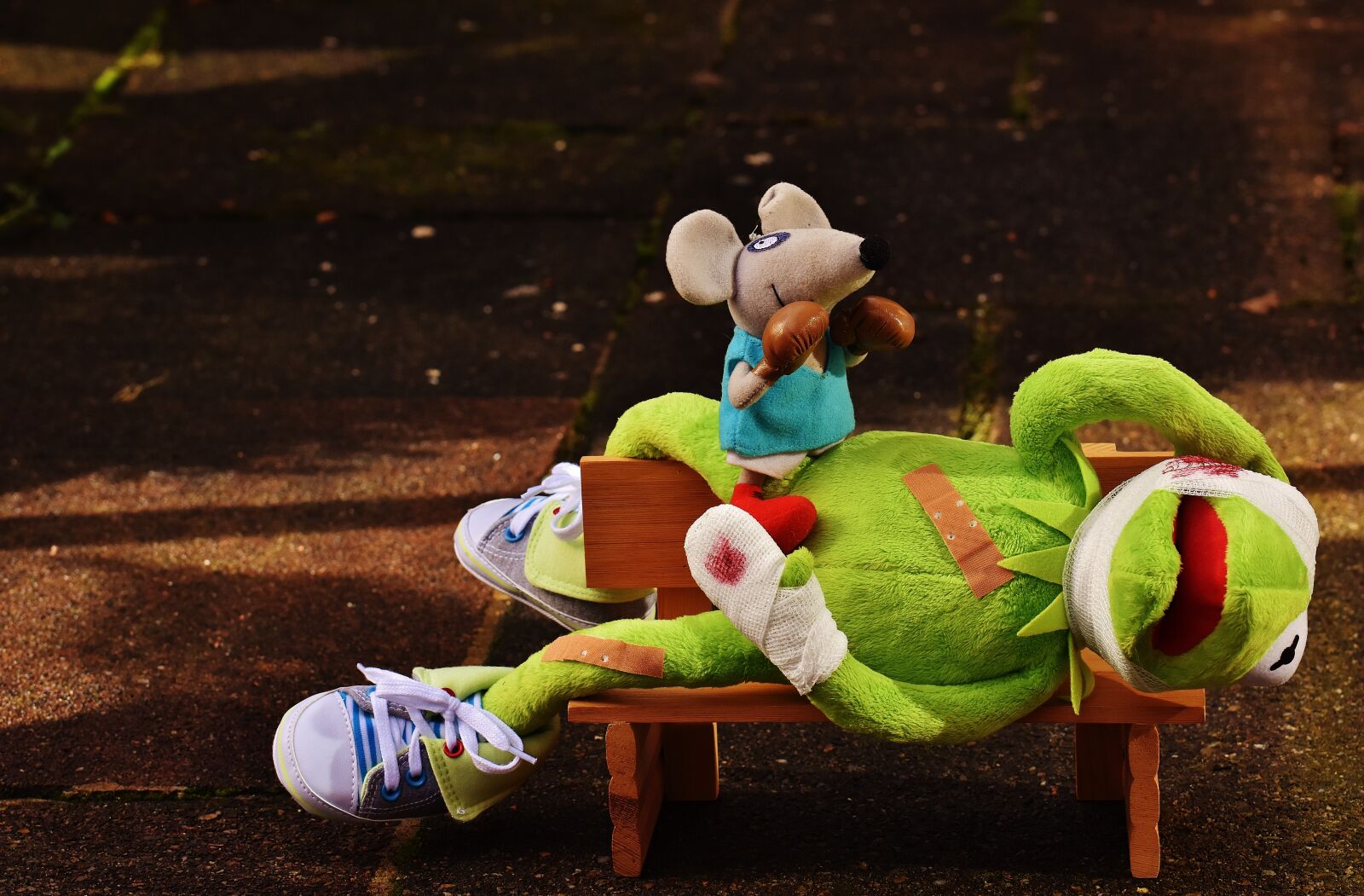 Nikon D7200 sample photo. Kermit, mouse, stuffed animal photography