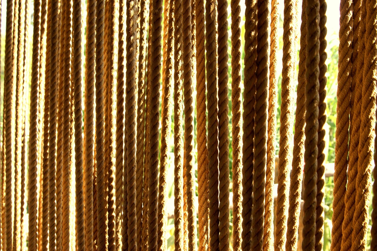 Sony Alpha DSLR-A350 sample photo. Model, wallpaper, texture photography