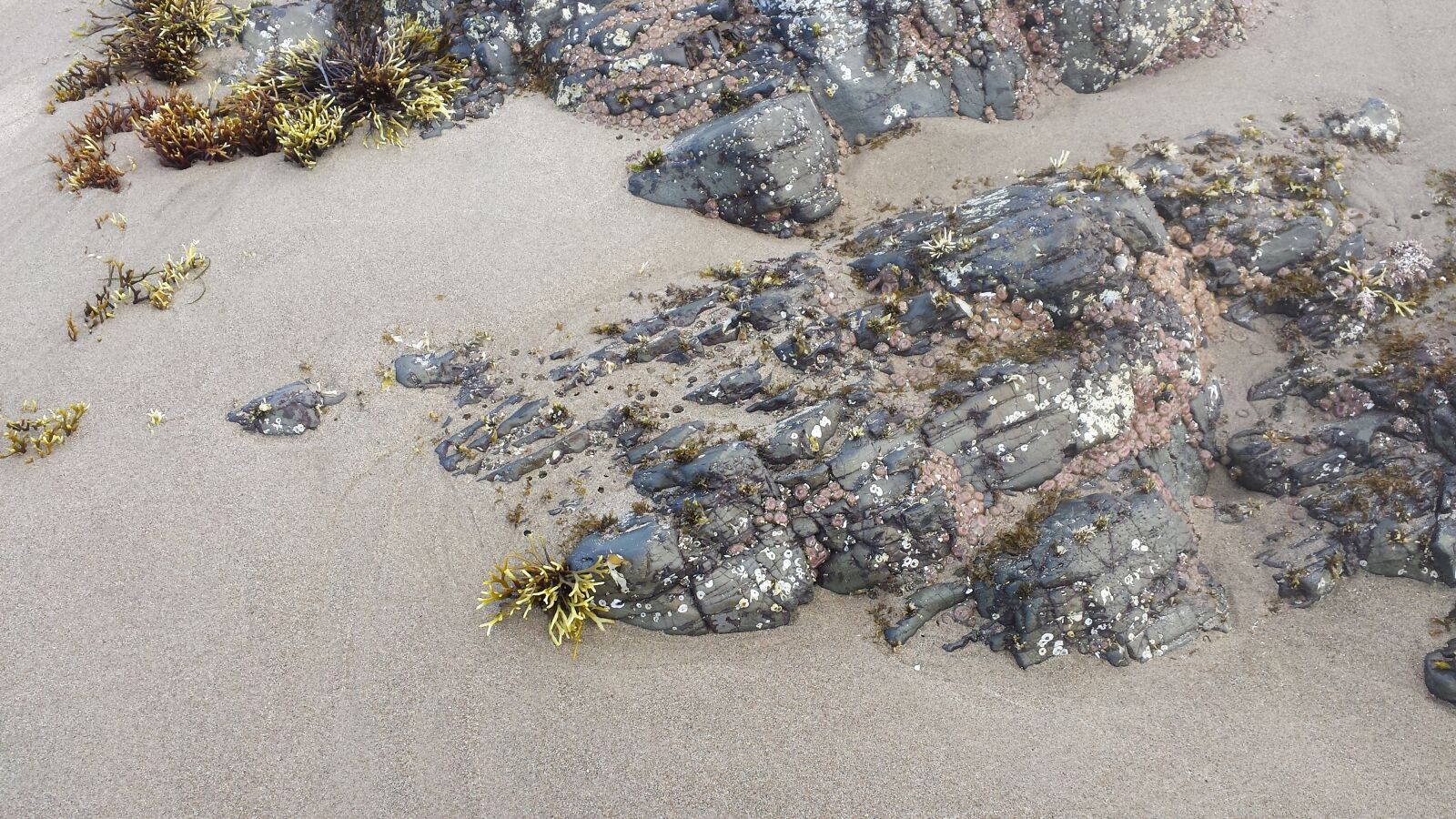 Samsung Galaxy S4 sample photo. Sand, beach, coast photography