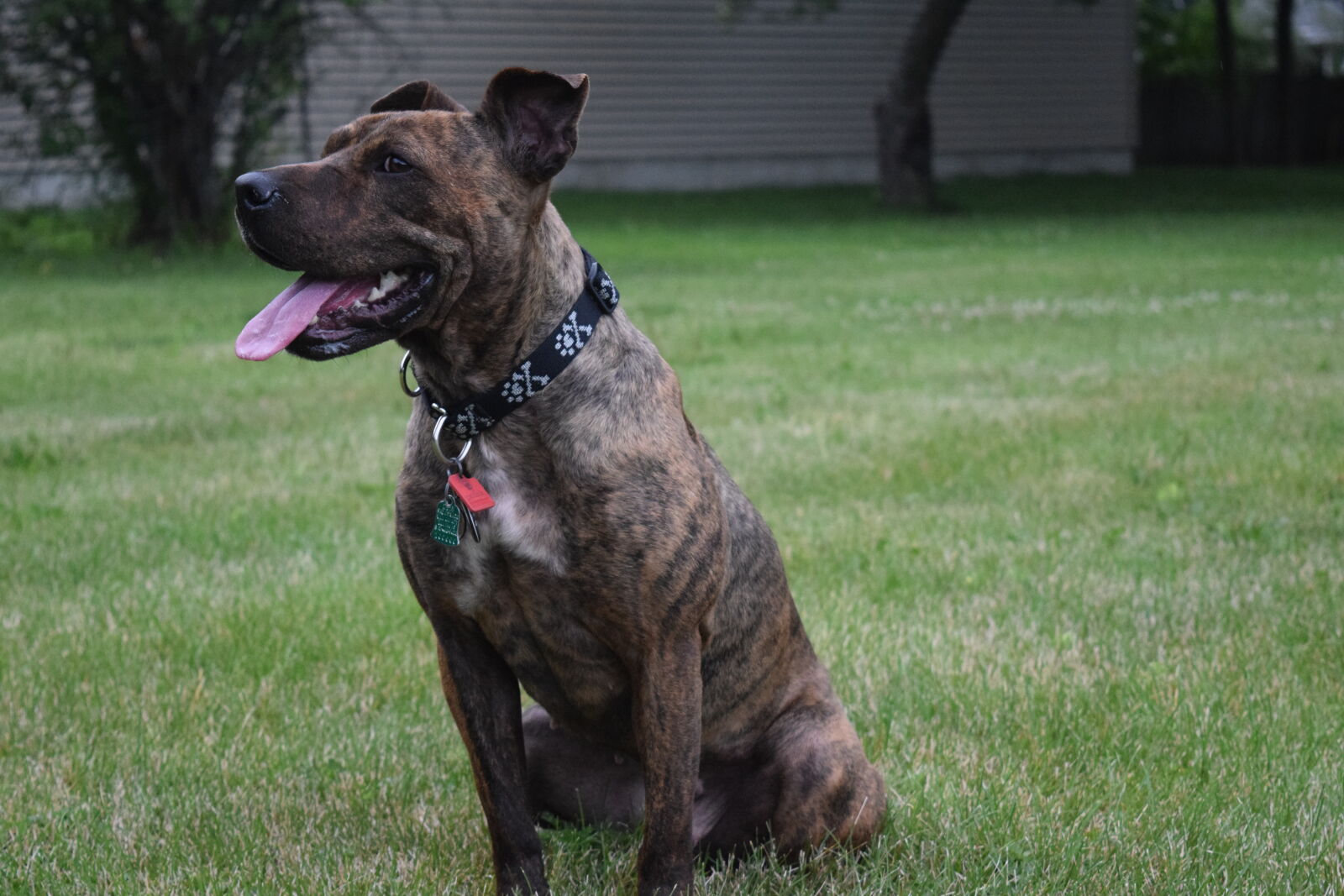 Nikon D3300 sample photo