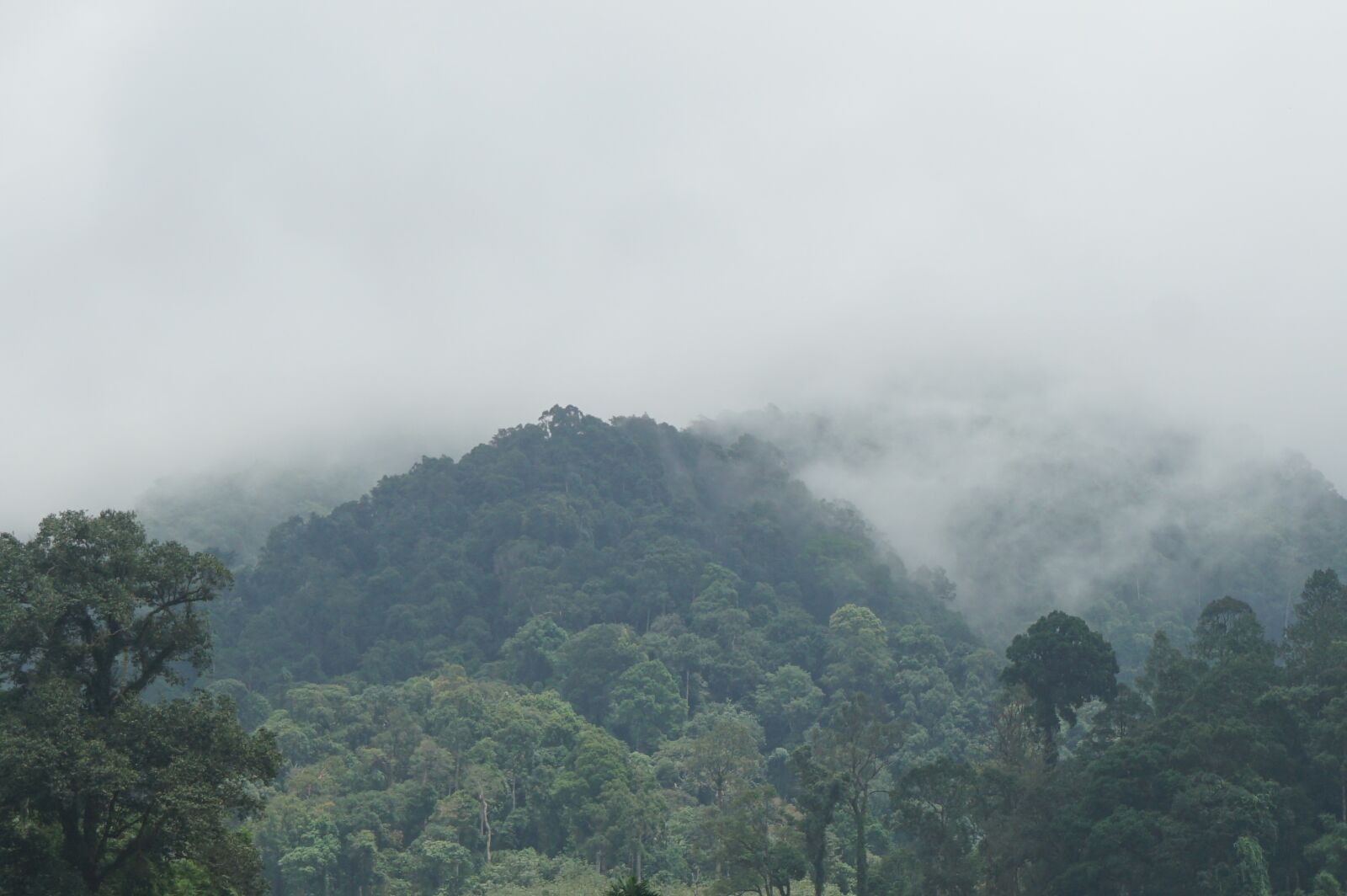 Sony E 16-50mm F3.5-5.6 PZ OSS sample photo. Mountains, the forests, nature photography