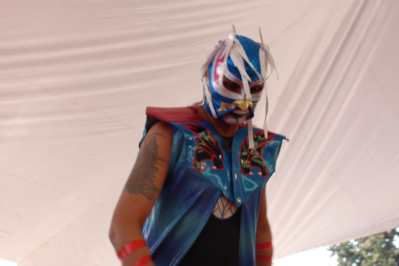 Canon EOS 700D (EOS Rebel T5i / EOS Kiss X7i) sample photo. Fighter, mask, cdmx photography