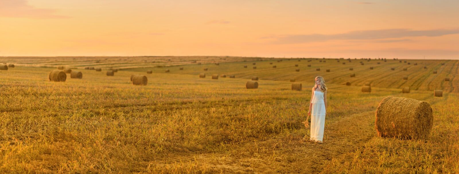 Canon EOS 5D Mark II + Canon EF 85mm F1.8 USM sample photo. Field, hay, sunset photography