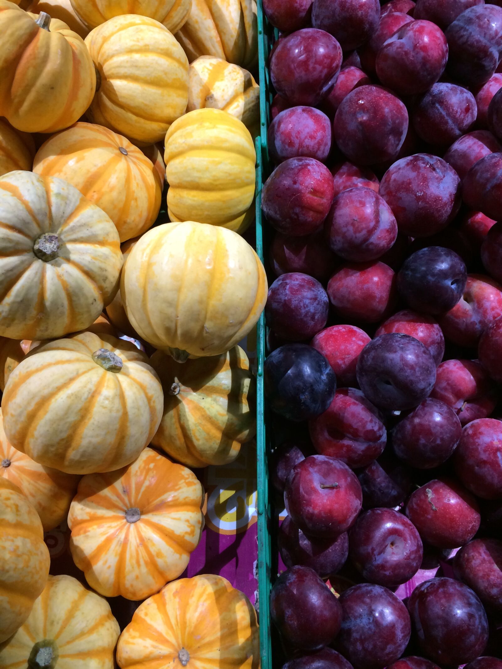 Apple iPhone 5s sample photo. Fruit, vegetable, pumpkin photography