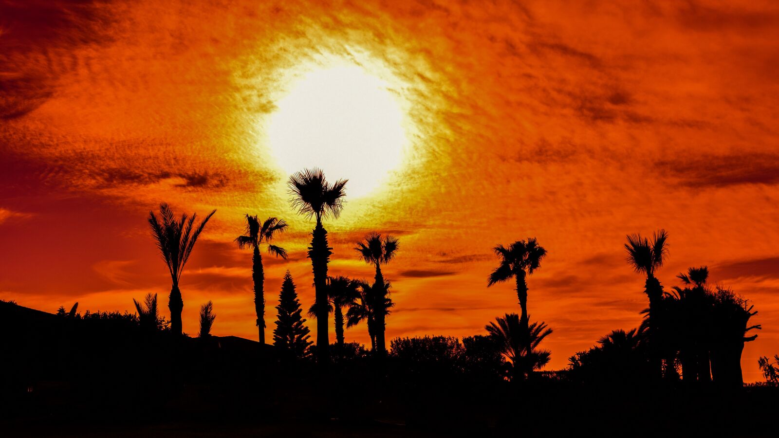 Nikon D3300 sample photo. Trees, shadows, sun photography