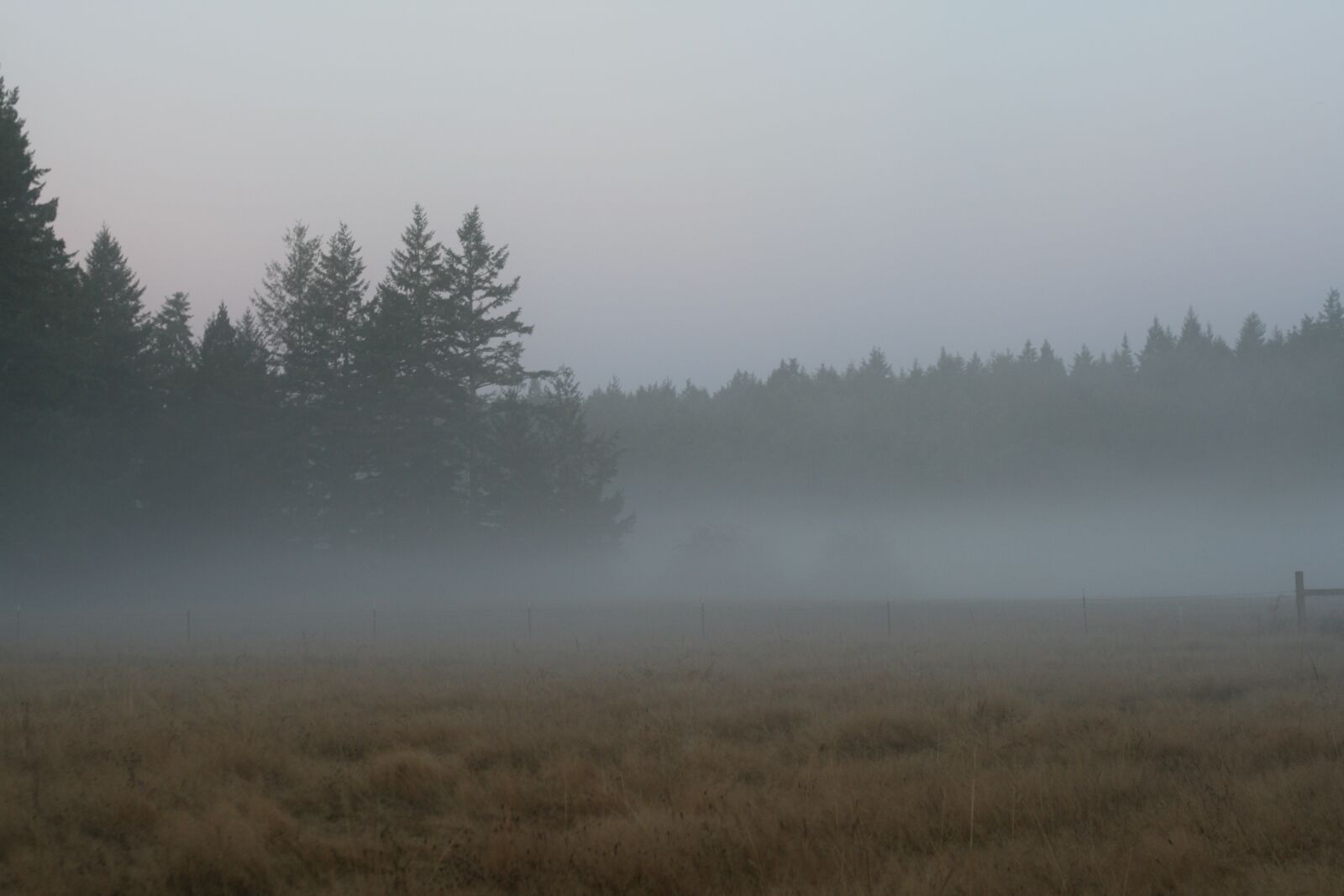 Canon EOS 400D (EOS Digital Rebel XTi / EOS Kiss Digital X) sample photo. Dawn, fog, farm photography
