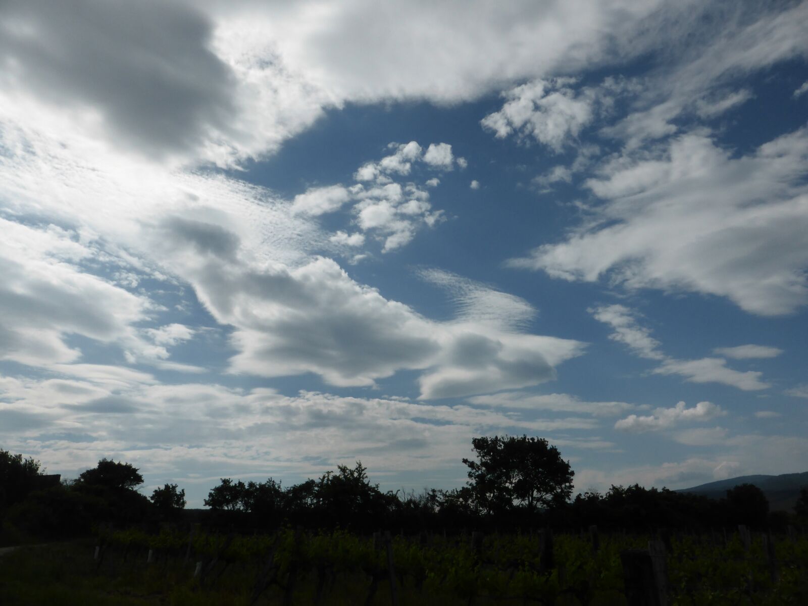 Panasonic Lumix DMC-ZS30 (Lumix DMC-TZ40) sample photo. Meadow, water, nature photography