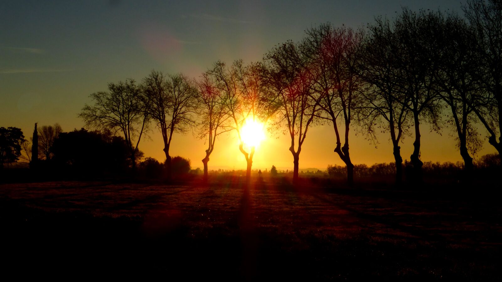 Panasonic Lumix DMC-ZS25 (Lumix DMC-TZ35) sample photo. Sunrise, vineyard, trees photography