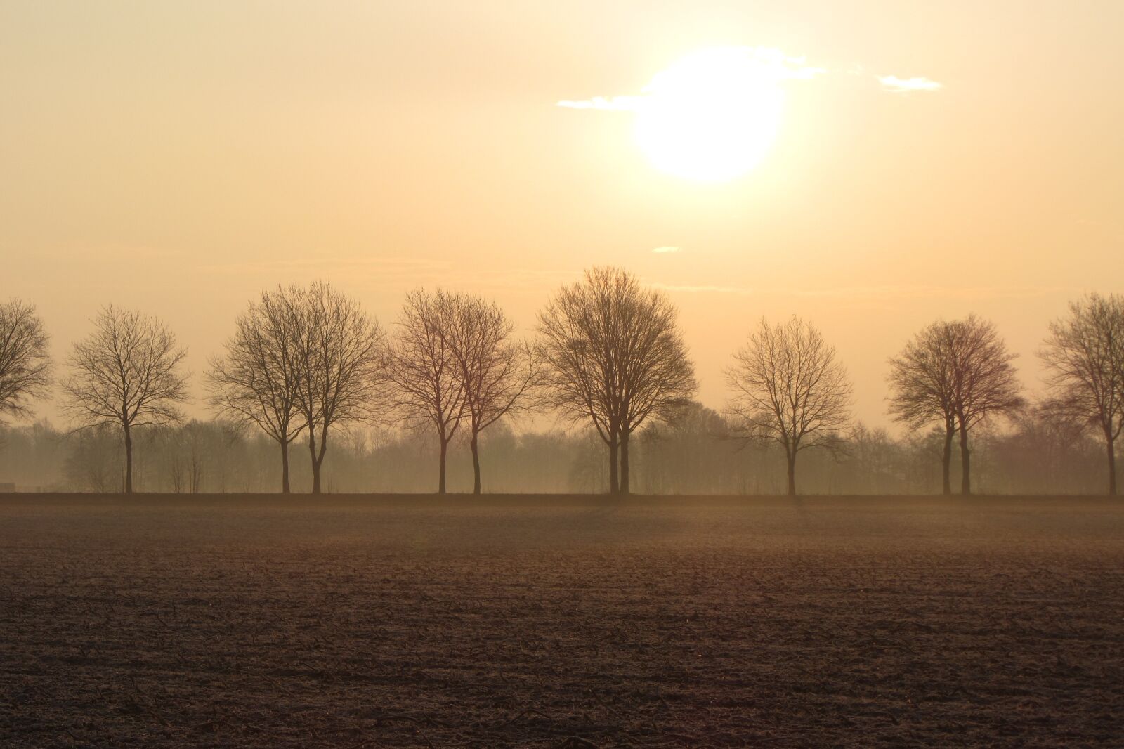 Canon PowerShot SX220 HS sample photo. Autumn, fog, sunbeam photography